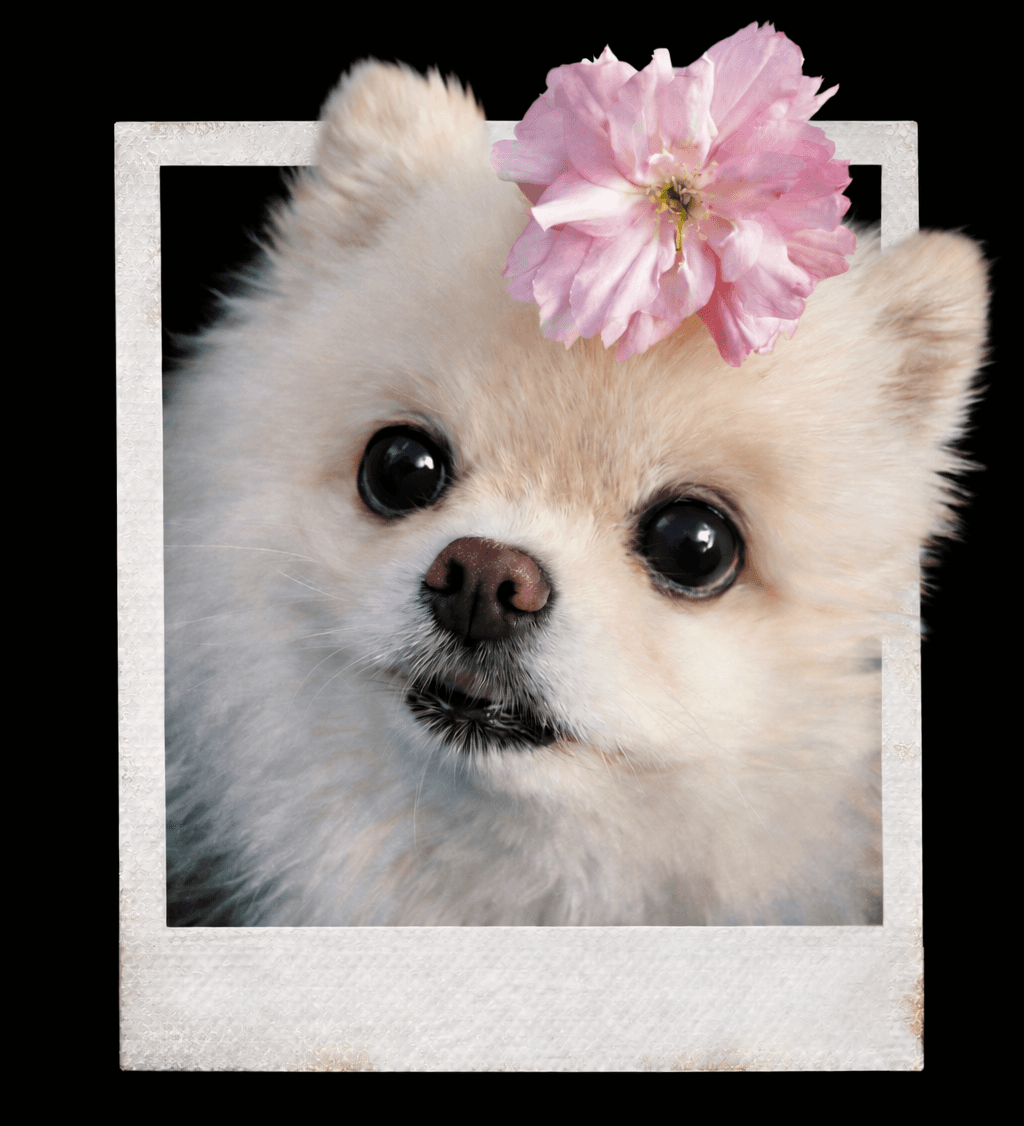 Clear Image of Fredrick