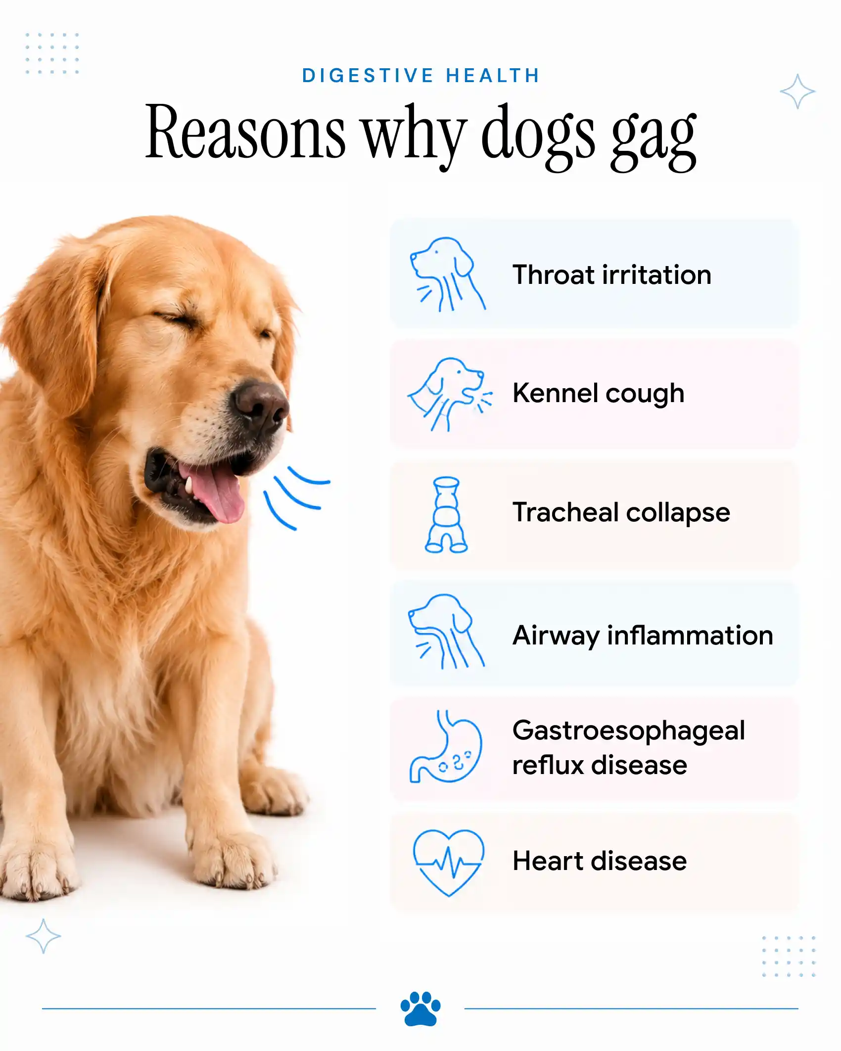 An infographic showing the reasons why dogs gag.
