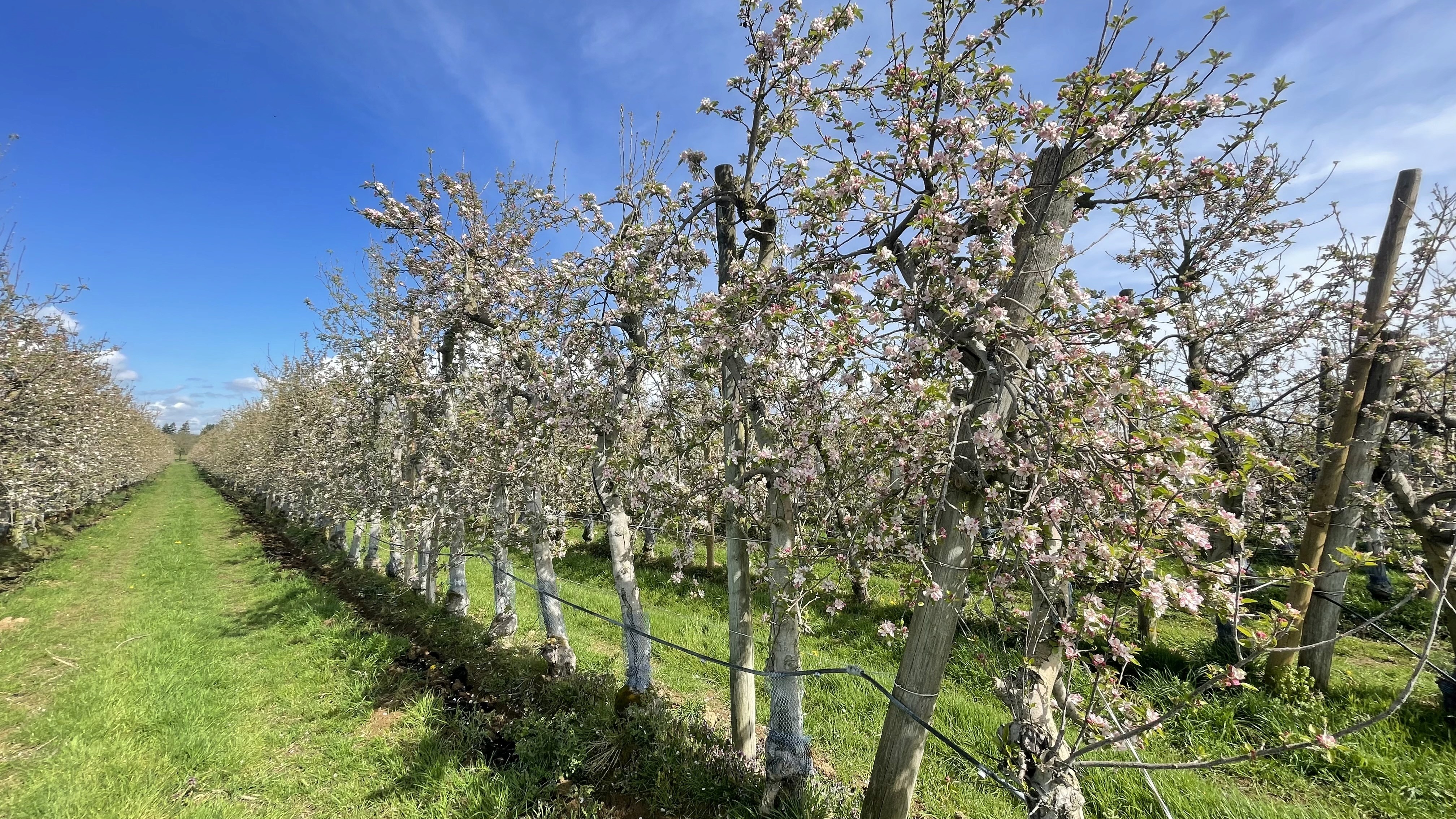Black and white image of people working at a table with laptops, showing hands gesturing during discussion of digital content displayed on screens, with fabrica® logo in the corner.
