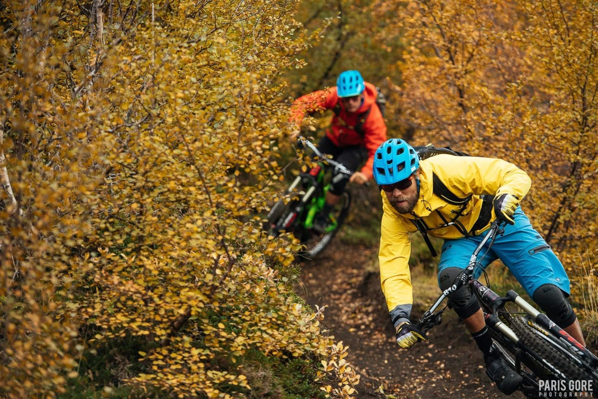 MTB trail riding action