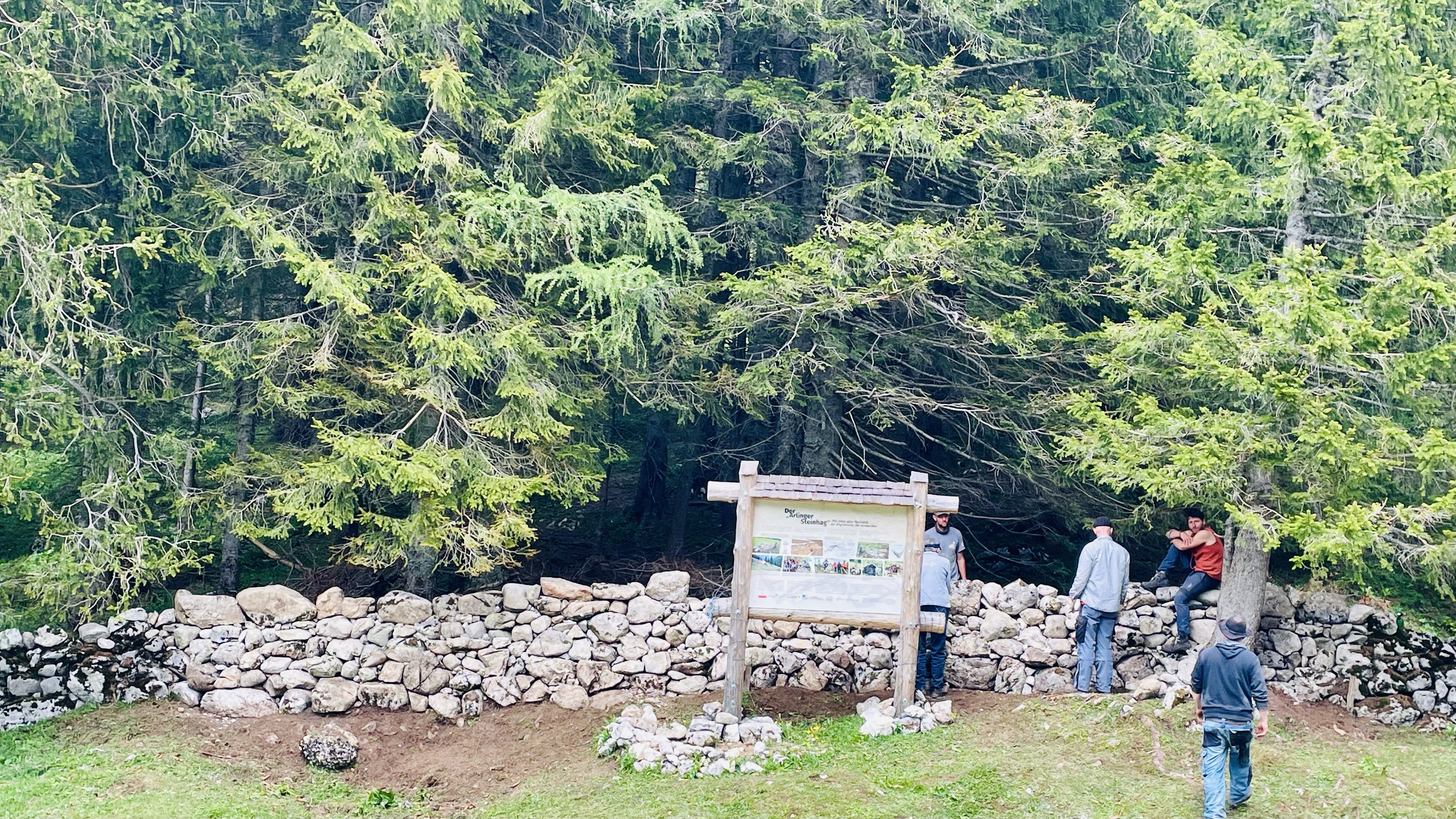 Trockenmauer bei Arlinger Steinhag Foto von Thomas Waltl