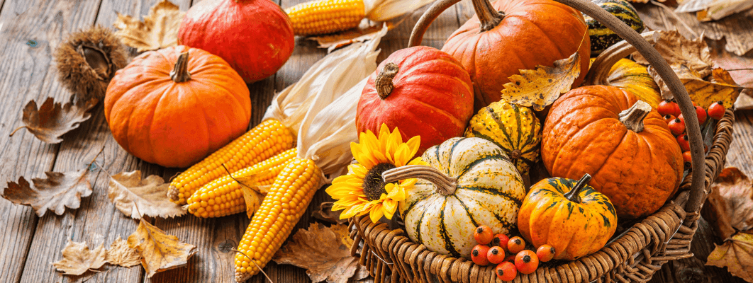 Cibi autunnali