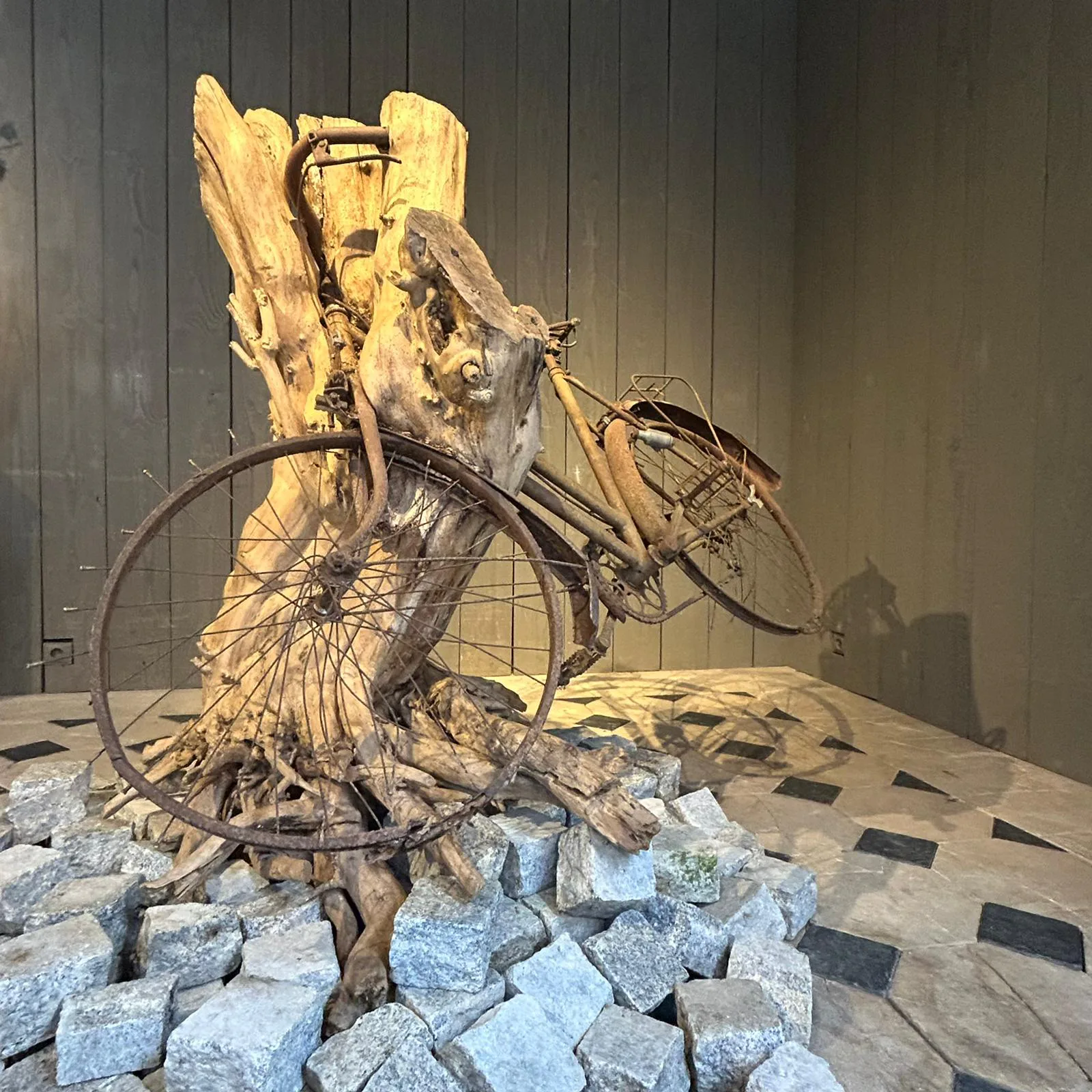 WhatsApp Image 2025-11-20 at 17.39.22_3e76446c.jpg