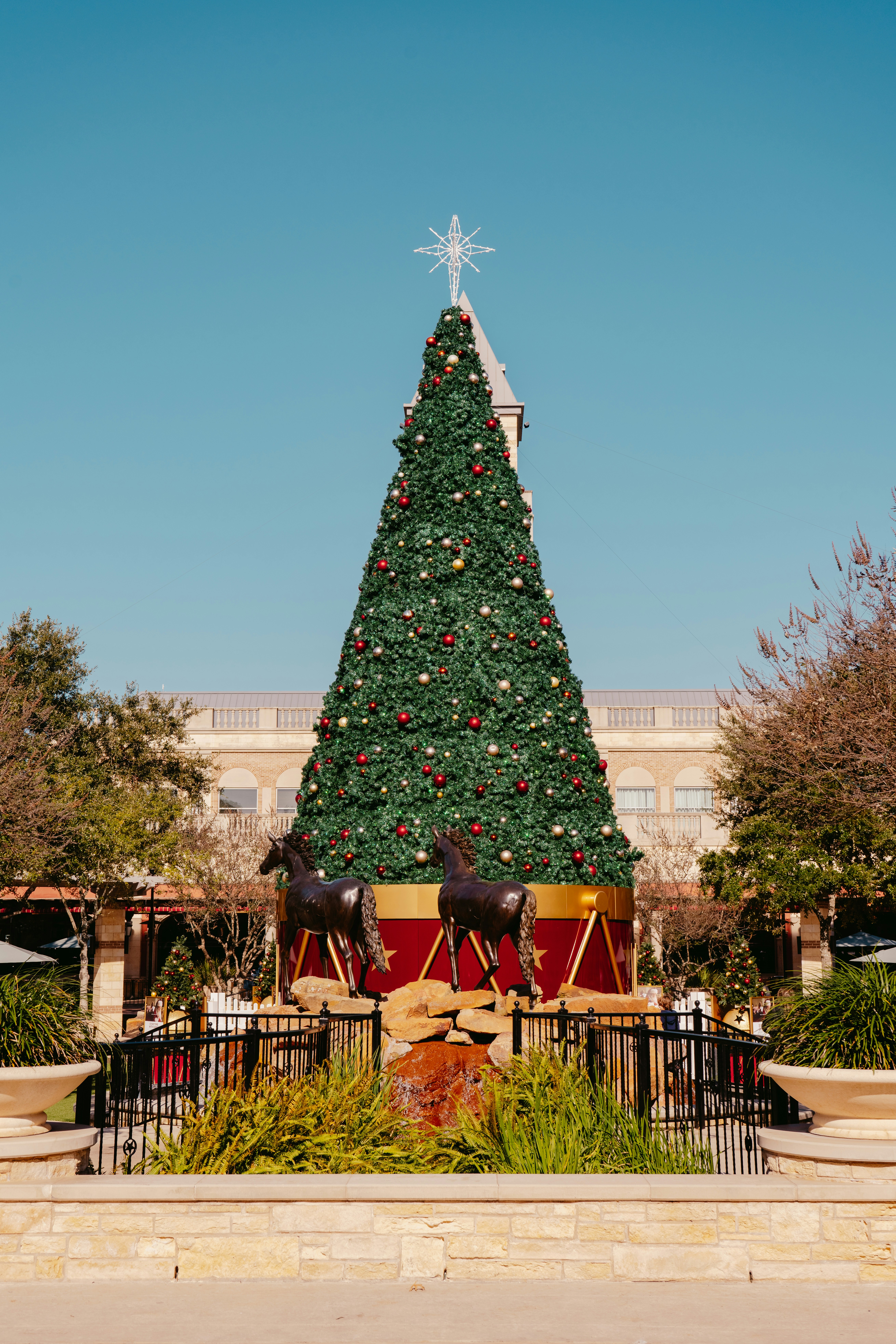 green christmas tree with red baubles near white concrete building during daytime