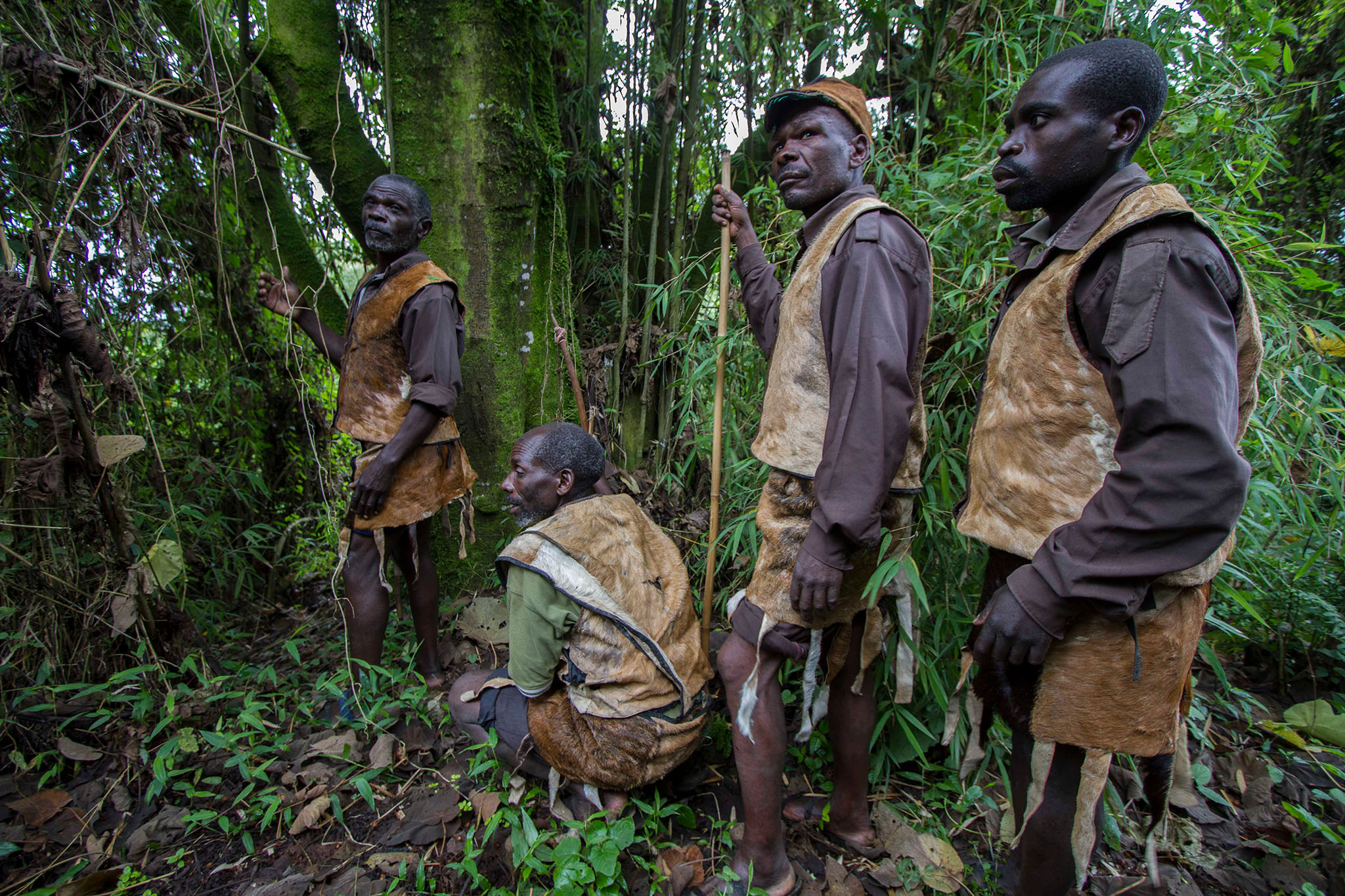 The Batwa Bwindi Forest Inhabitants