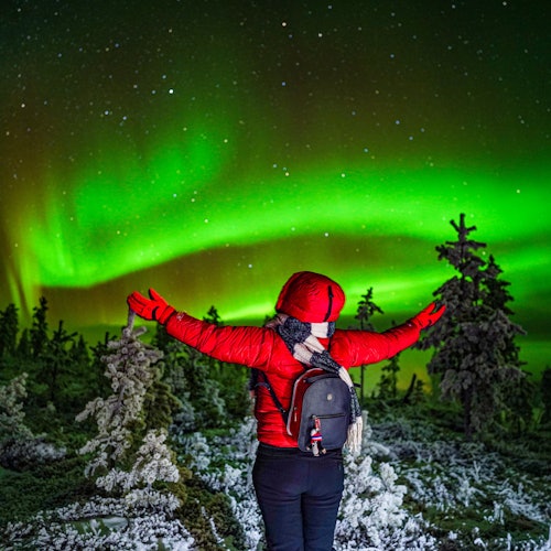 Enjoy the most beautiful natural phenomenon!