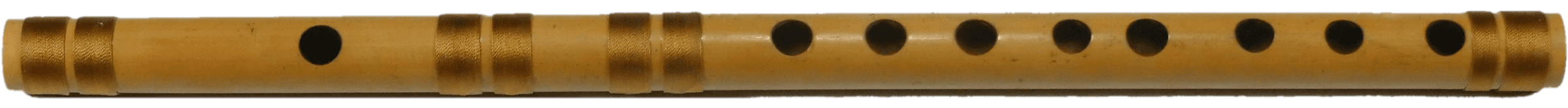 Scale 5 / G