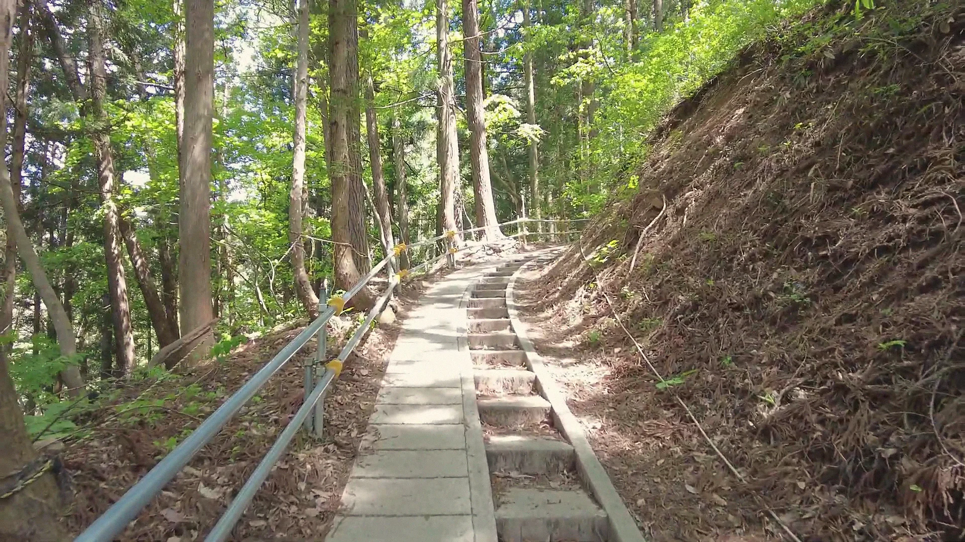 Green-season forest trail with stone steps and a handrail on the walk to the monkey park, Kanbayashi.
