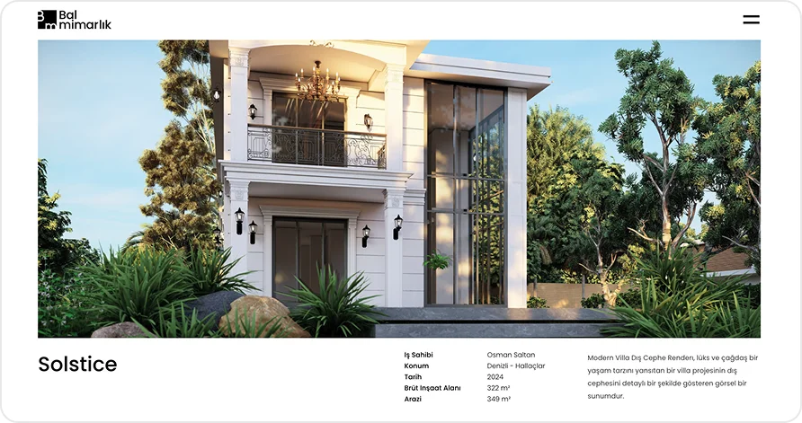 Website mockup project details