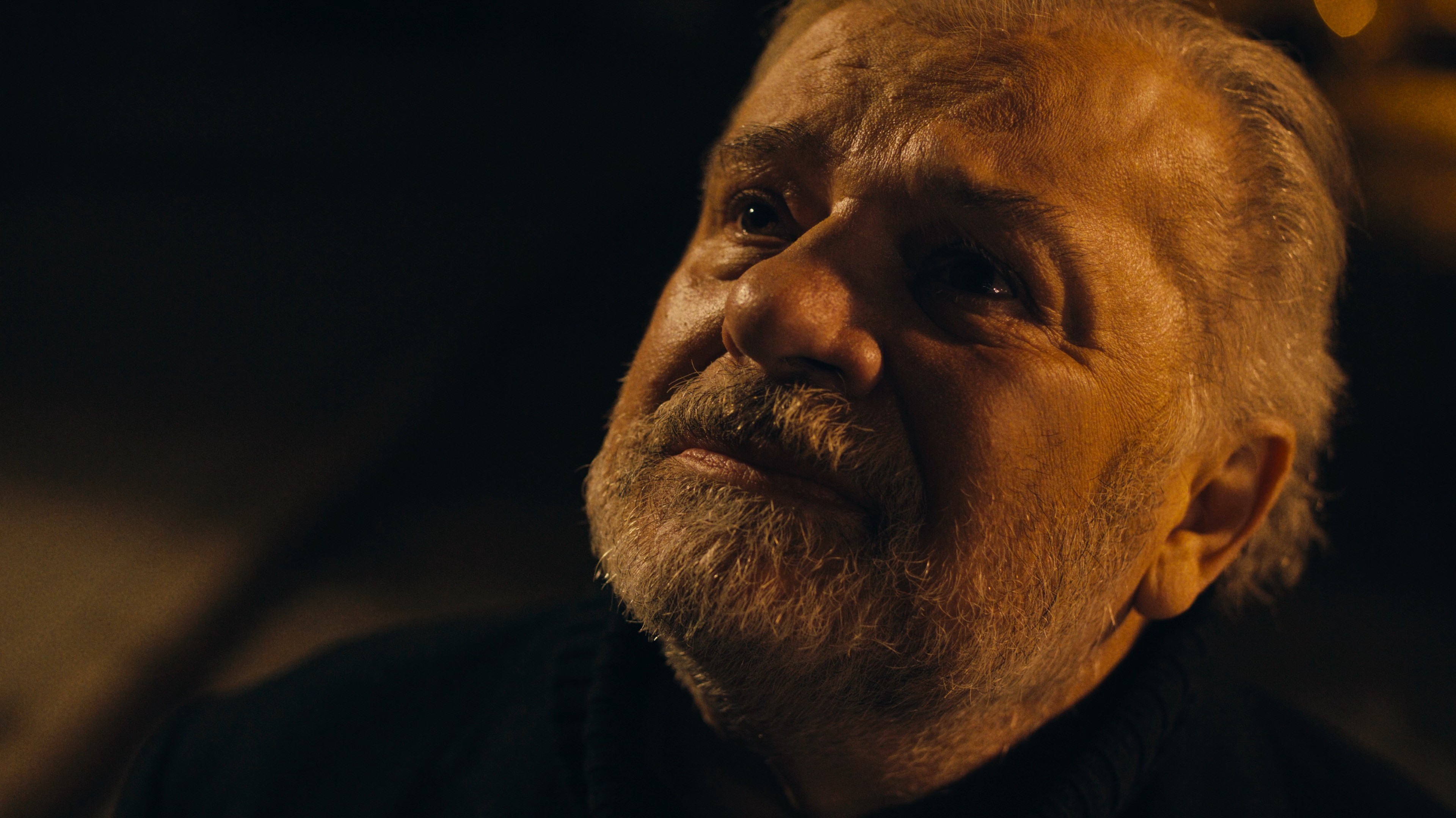 Cinematic close-up of an older bearded man illuminated by warm light.