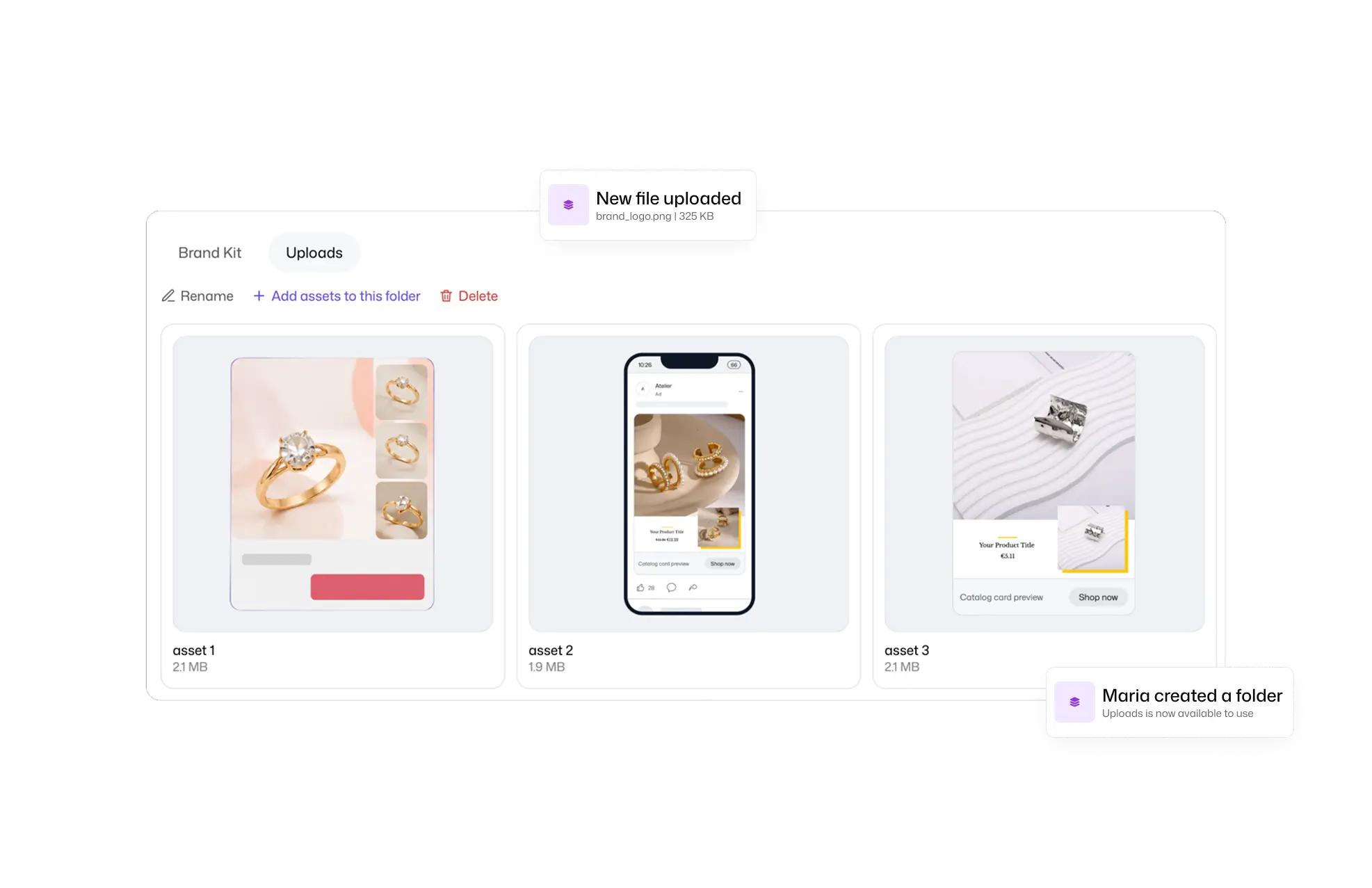 manage branding | flow by pansyer - catalog ads (DPA - personalized catalog ads)