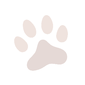 Paw