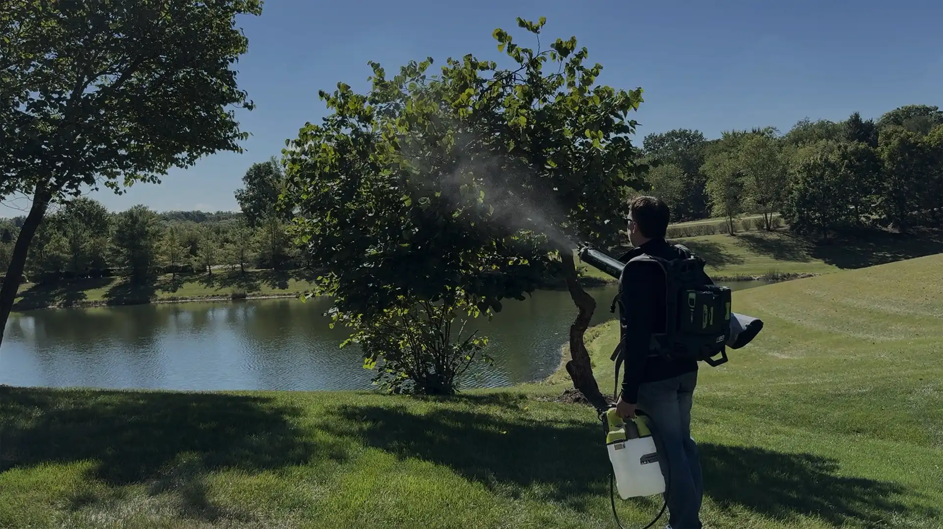 A person with a backpack sprayer mists a small tree near a serene pond on a sunny day. The grassy landscape and trees create a tranquil setting.