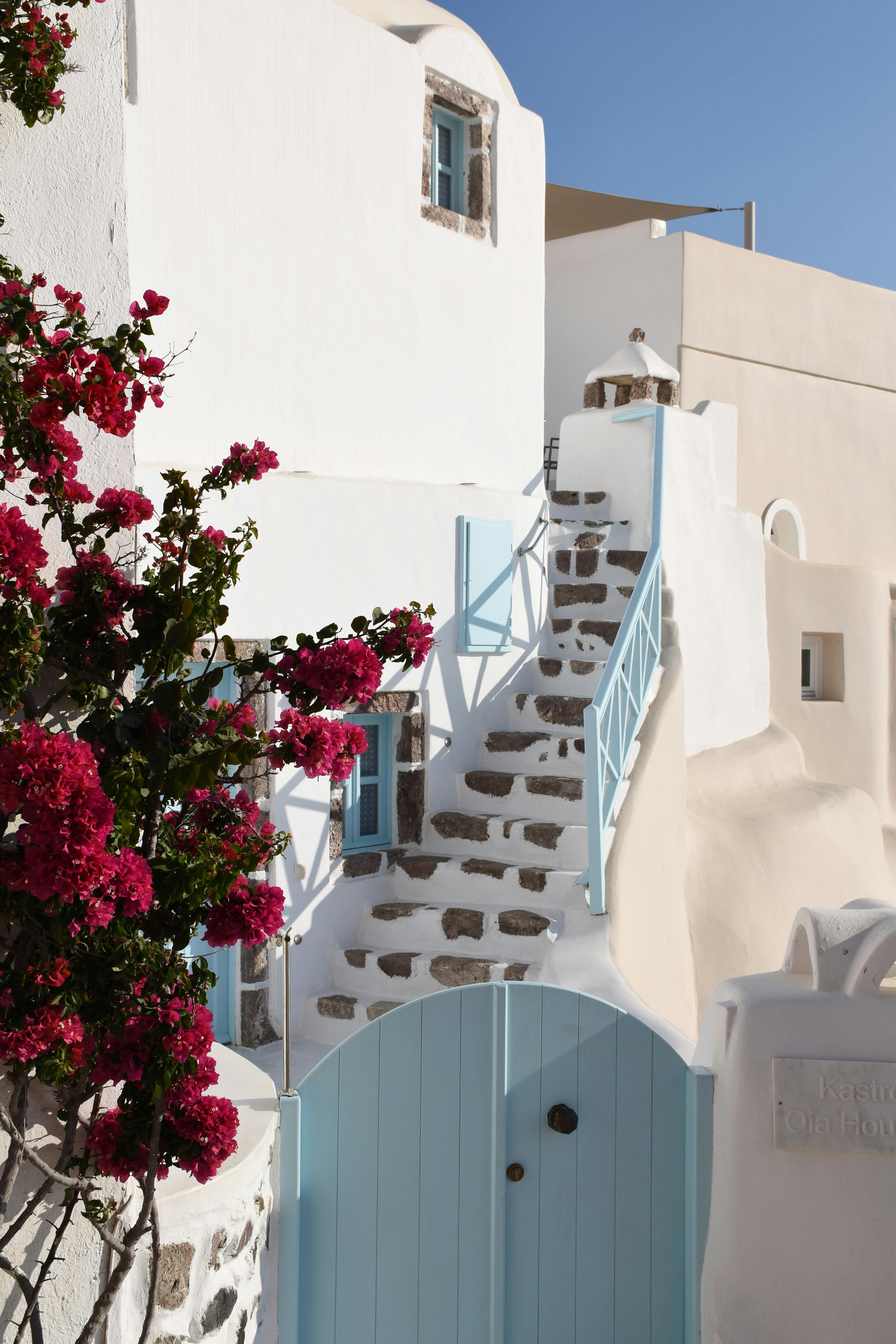 wooden house interior with large windows