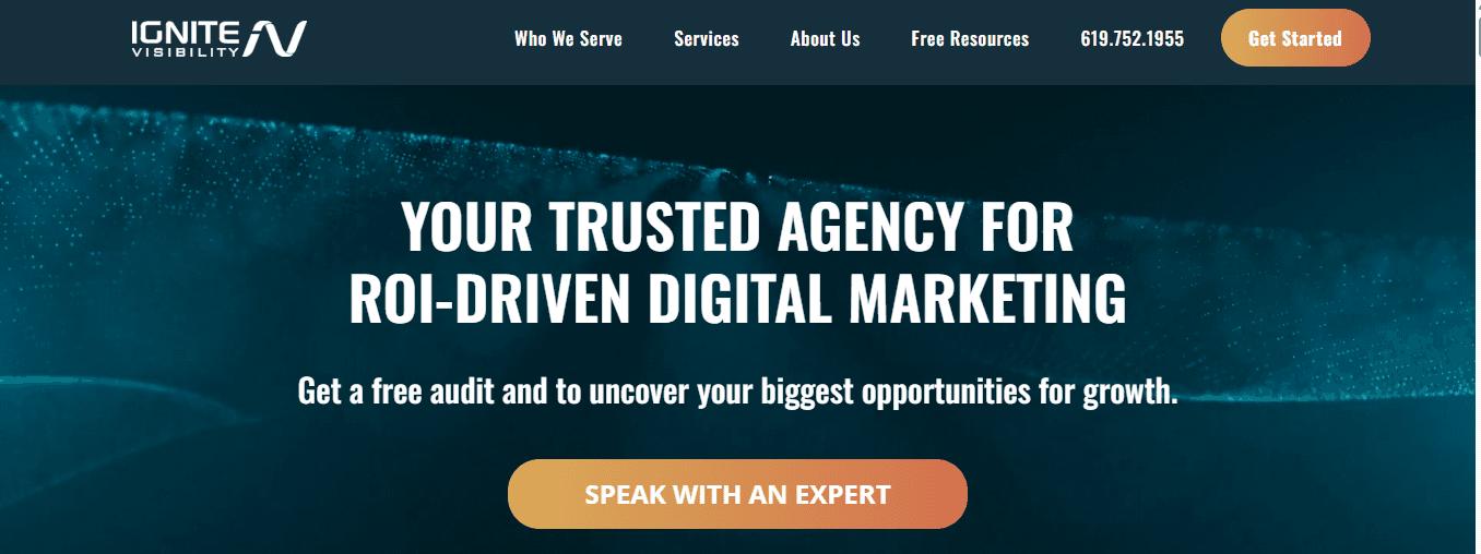 ignite visibility - Best Ecommerce SEO Agency