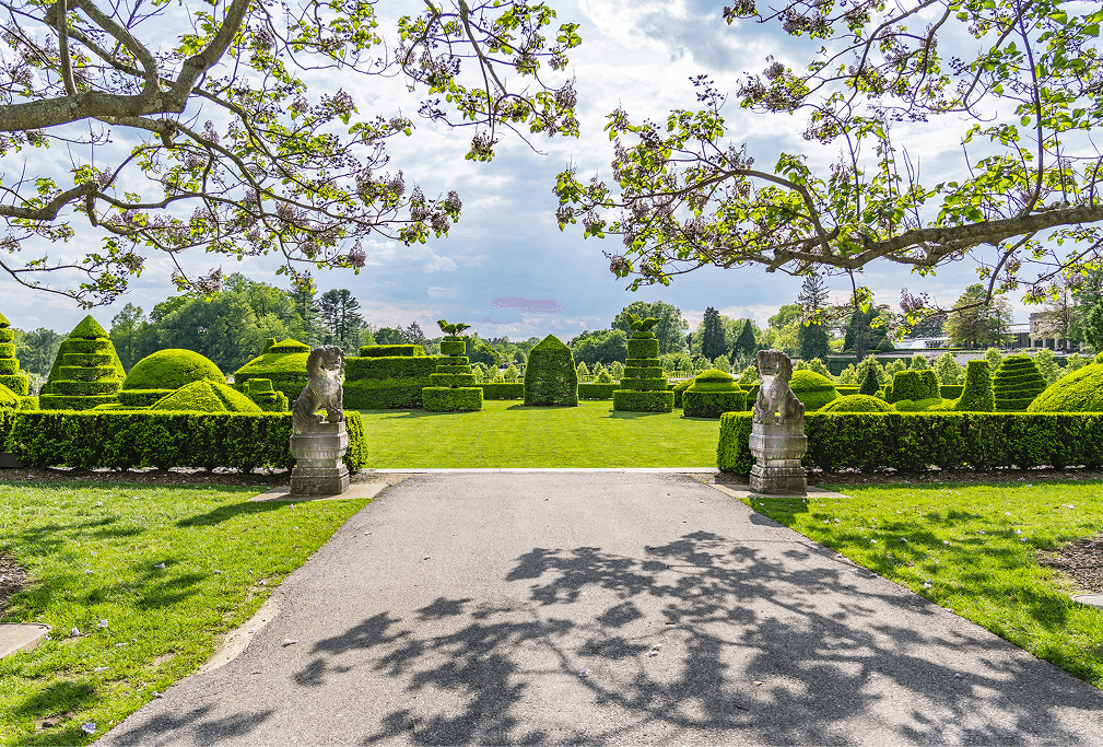 An open wrought iron garden gate leading to a green pathway, symbolising transition, stewardship, and succession planning.