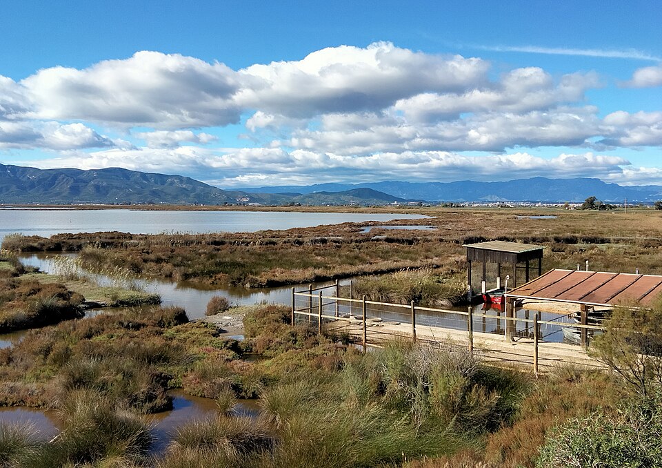 Bassa de l'Encanyissada - Autoria: Wikimedia Upload