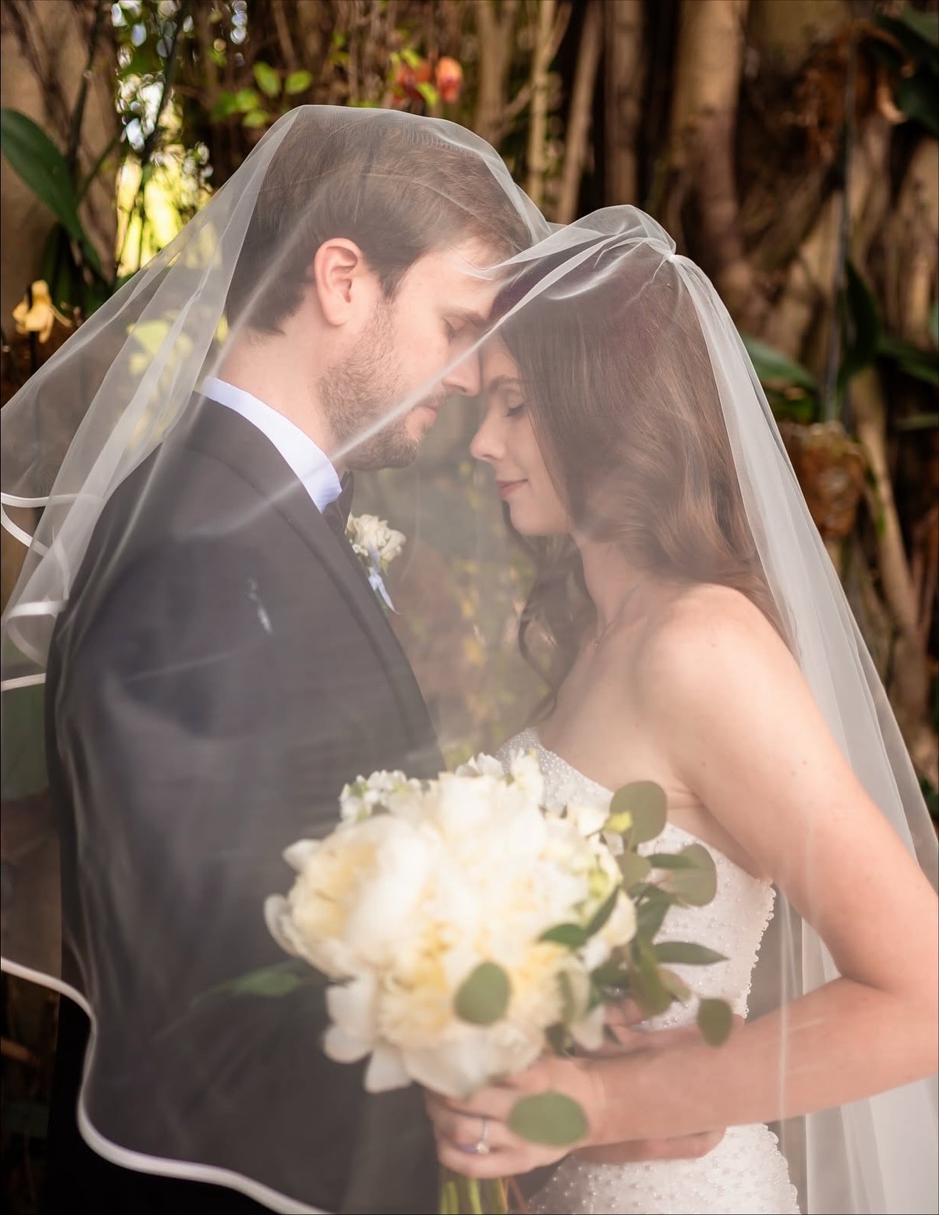 A cozy scene with warm sunlight casting stripes, featuring a potted plant and soft towels on a window sill.
