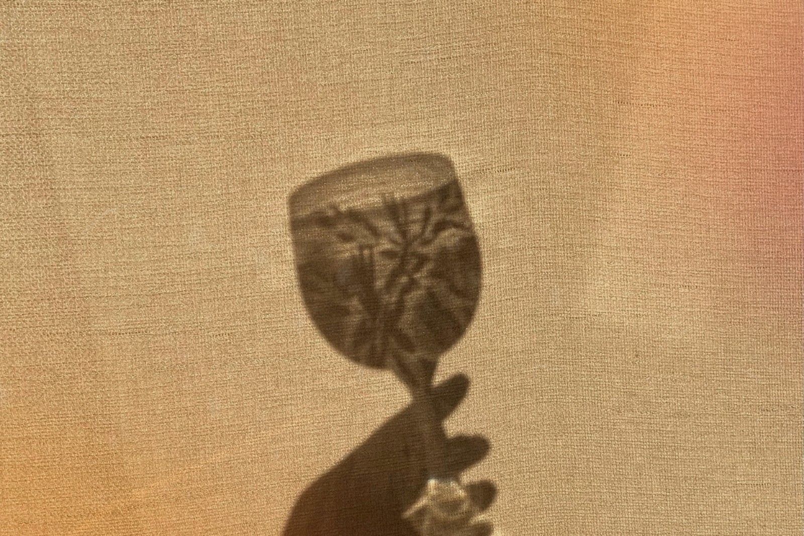 Shadow of a hand holding a wine glass cast on a linen wall.