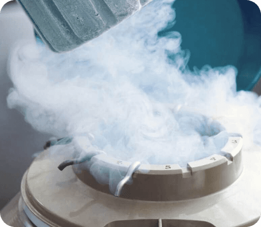 Steam rising off of the inside of a cryopreservation tank