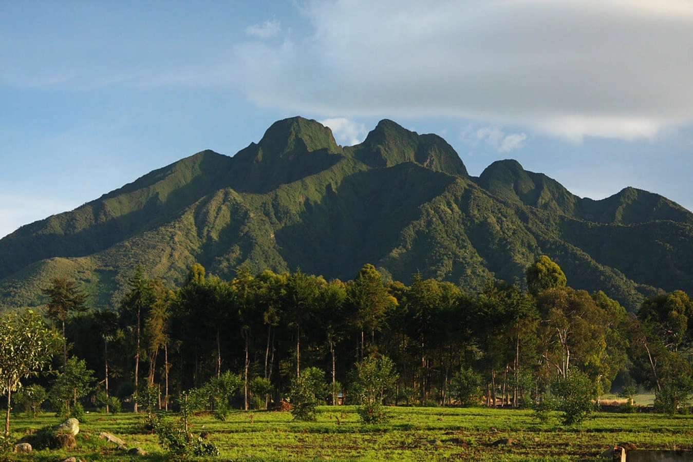LE RWANDA