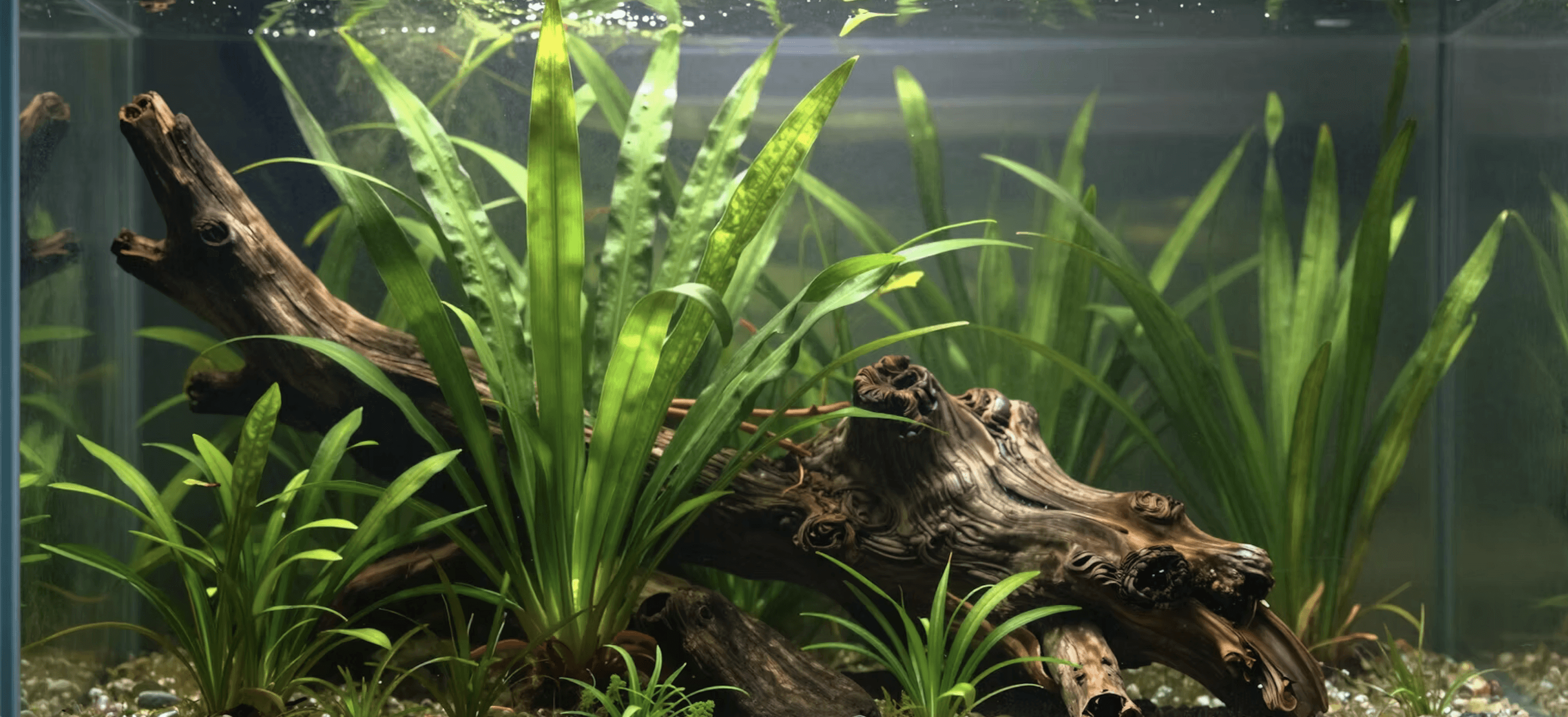 Large aquarium construction