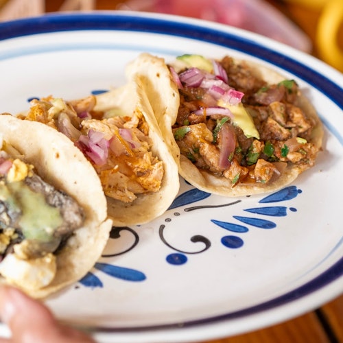 Degustação de comida mexicana