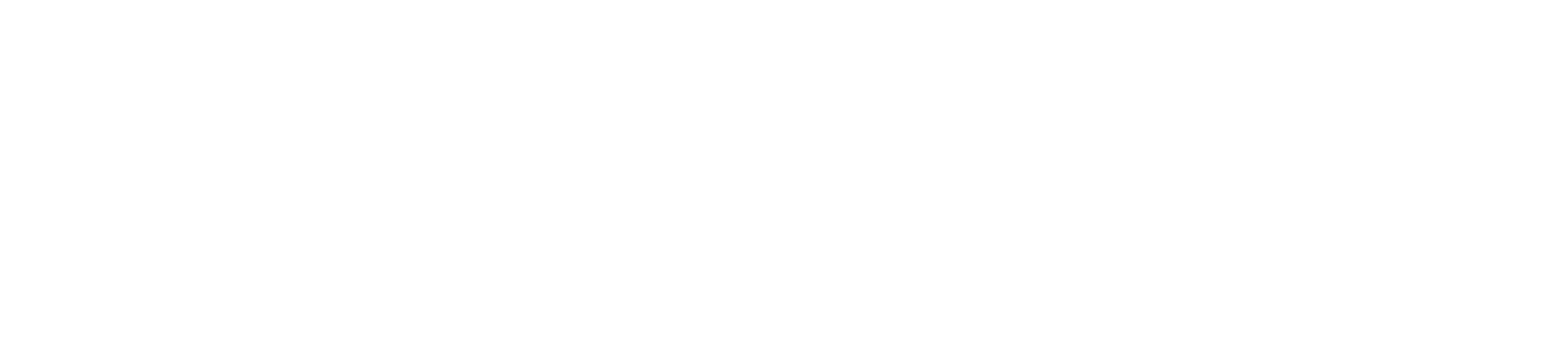 Pipewise wordmark