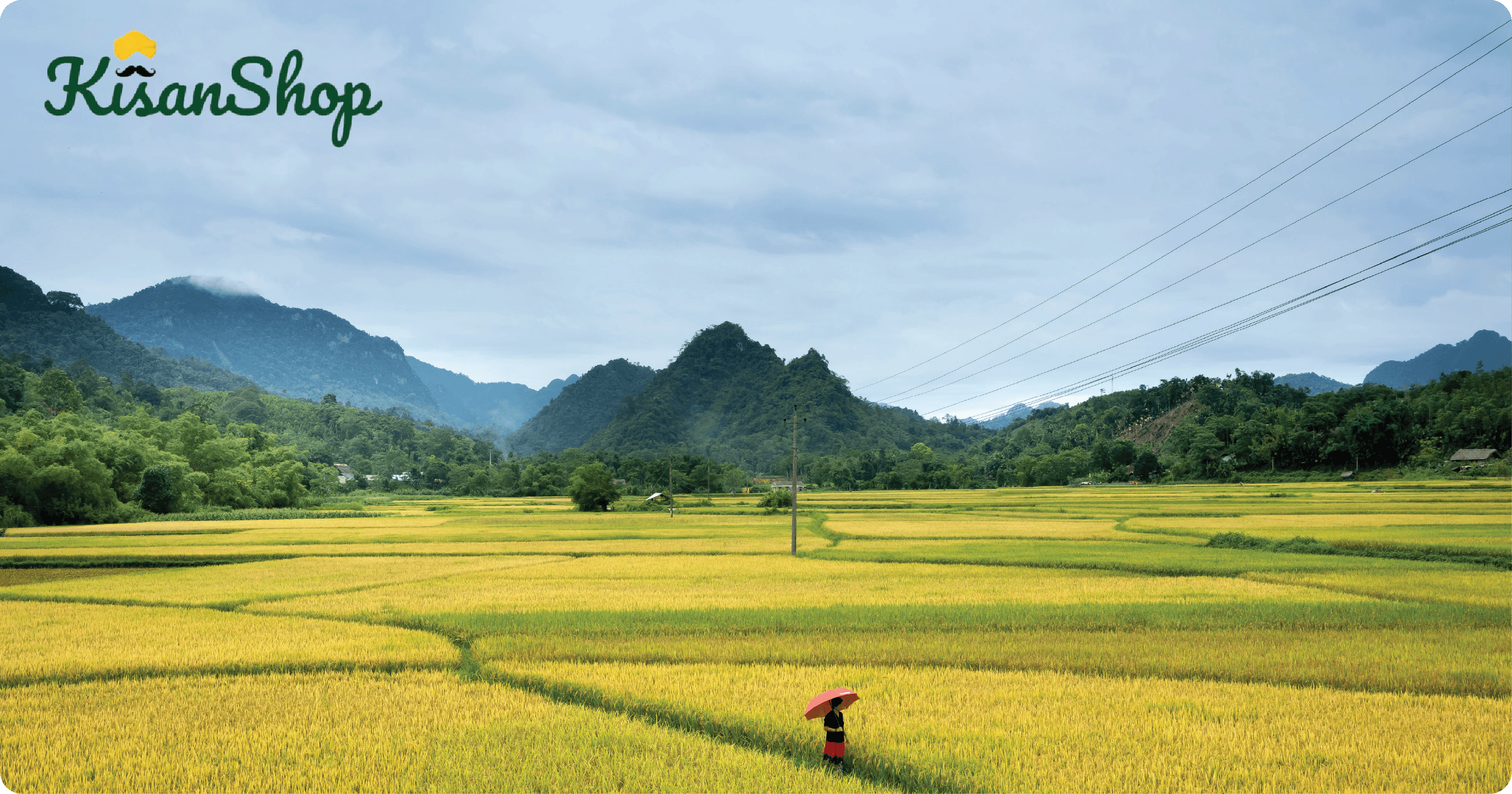 Premium UX Template for Framer