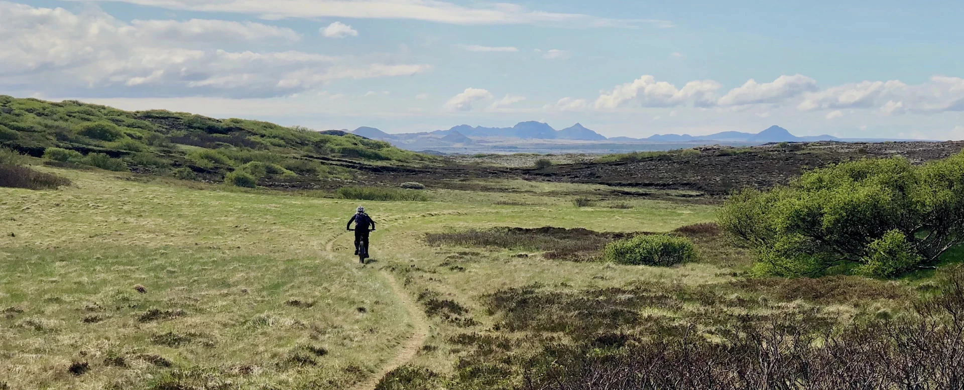 Heidmork, Iceland
