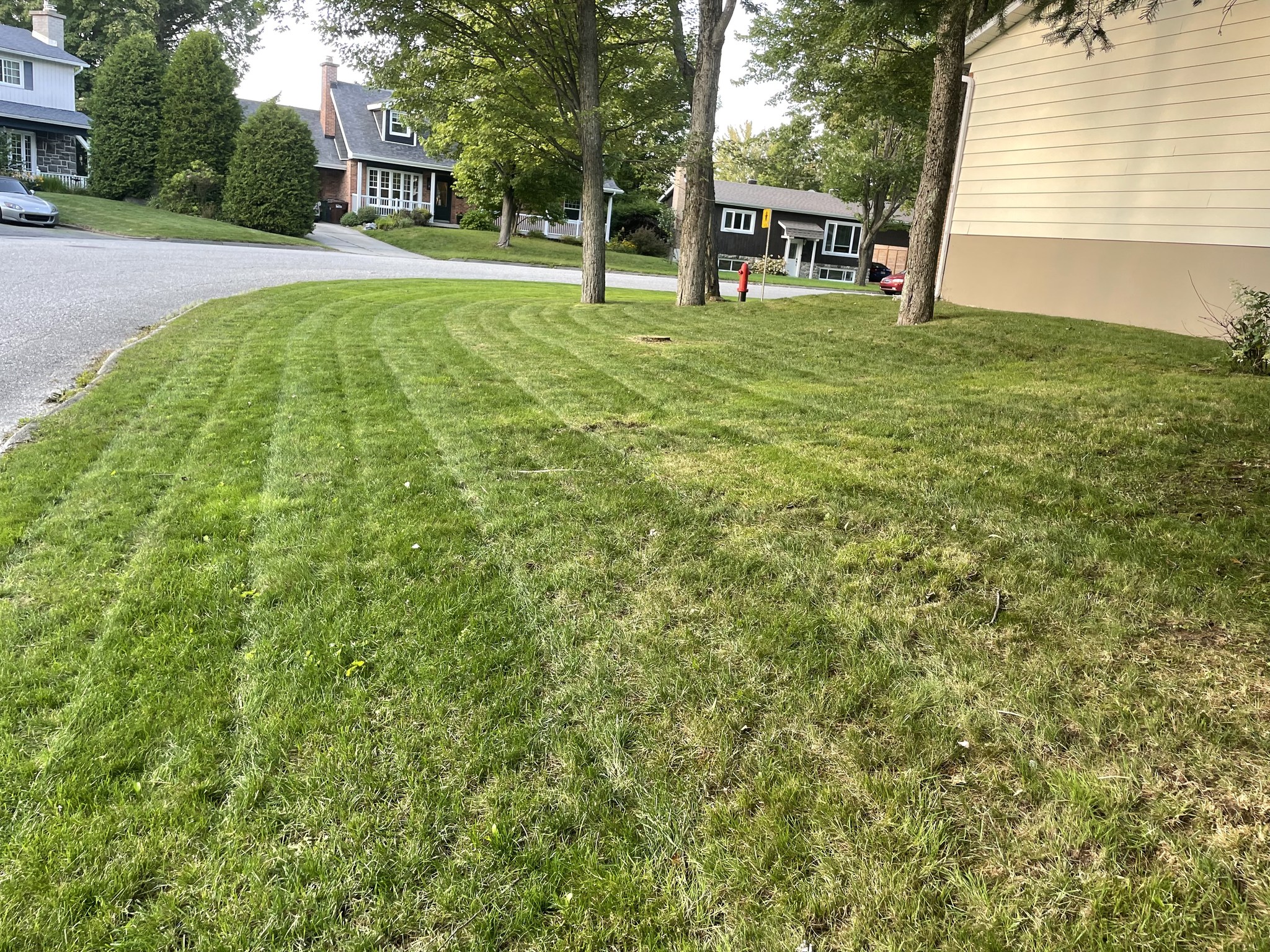 Personne qui applique une protection céramique sur un véhicule