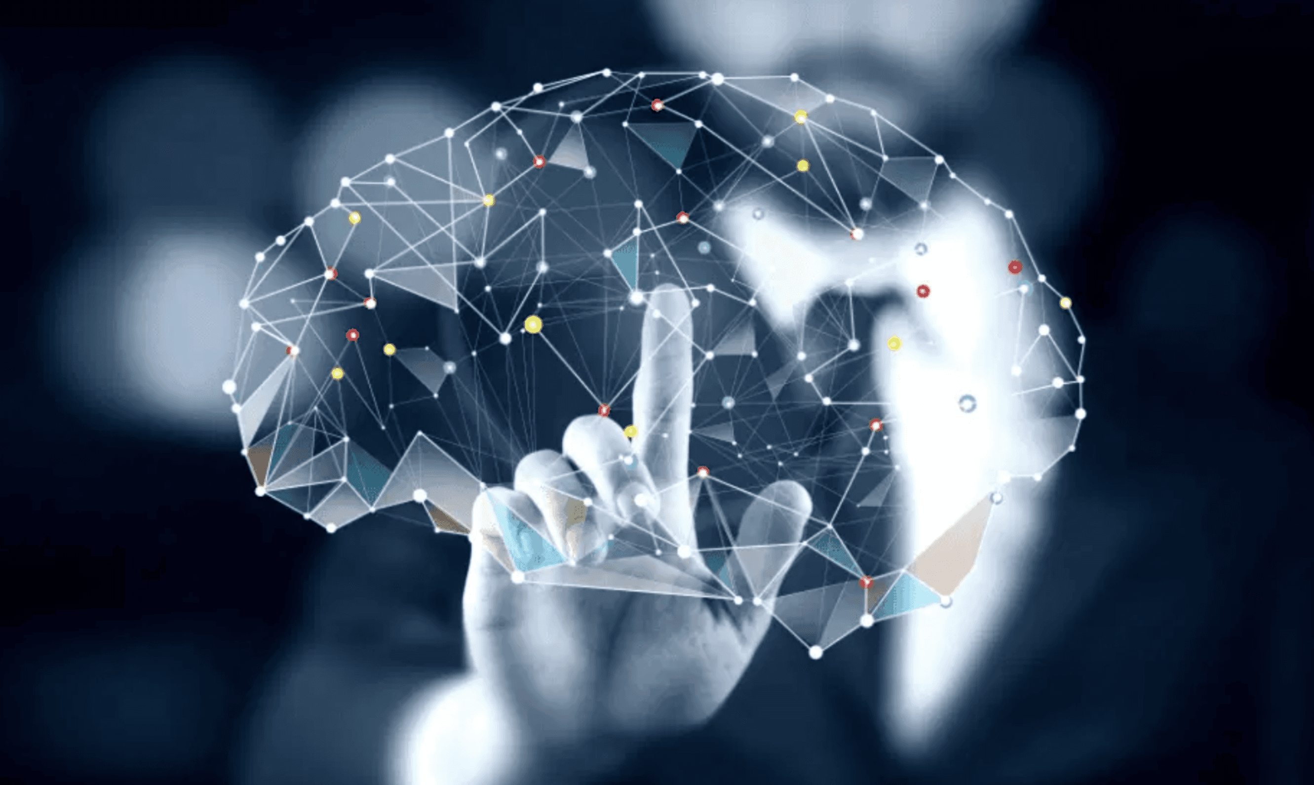 Imagem digital de um cérebro