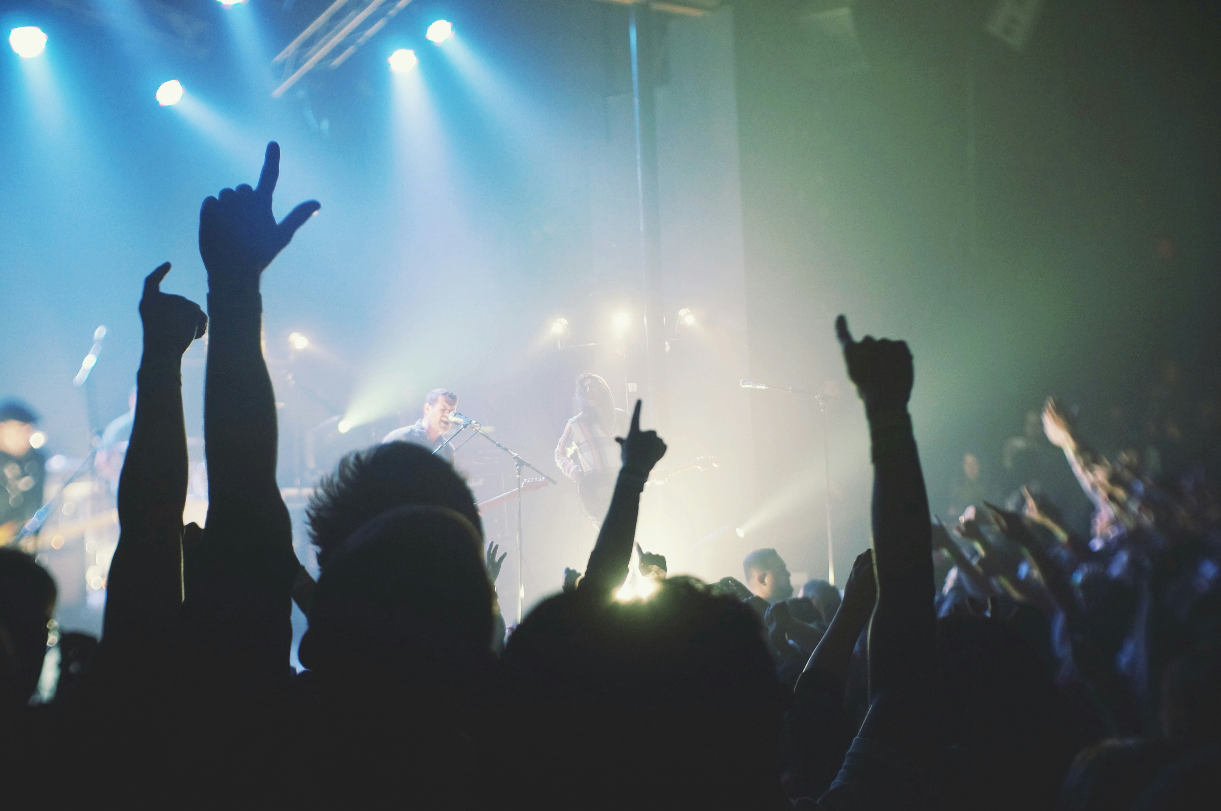 audience in concert