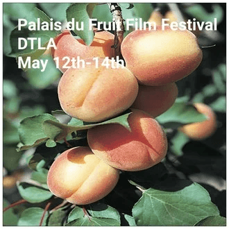 Palais du Fruits Film Festival