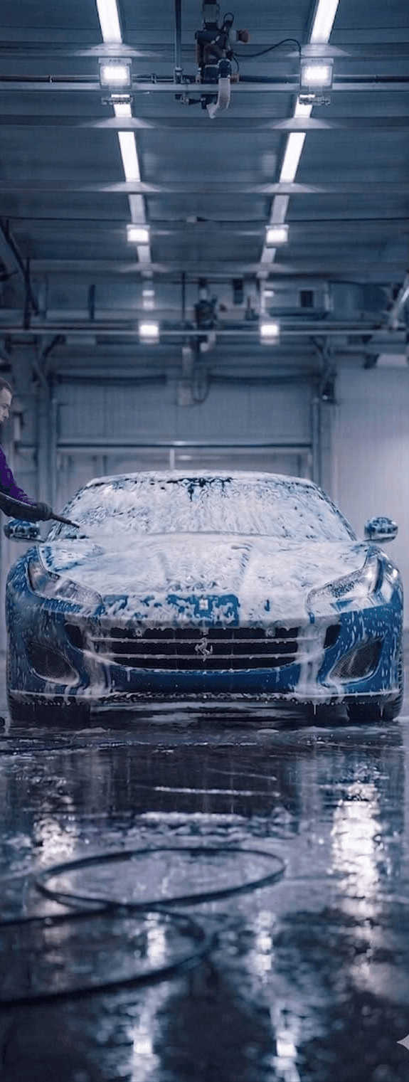 Portrait of portfolio creator – back view