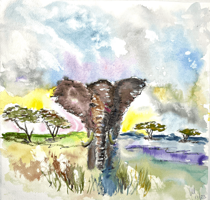 African Elephant - 25/25cm - watercolour