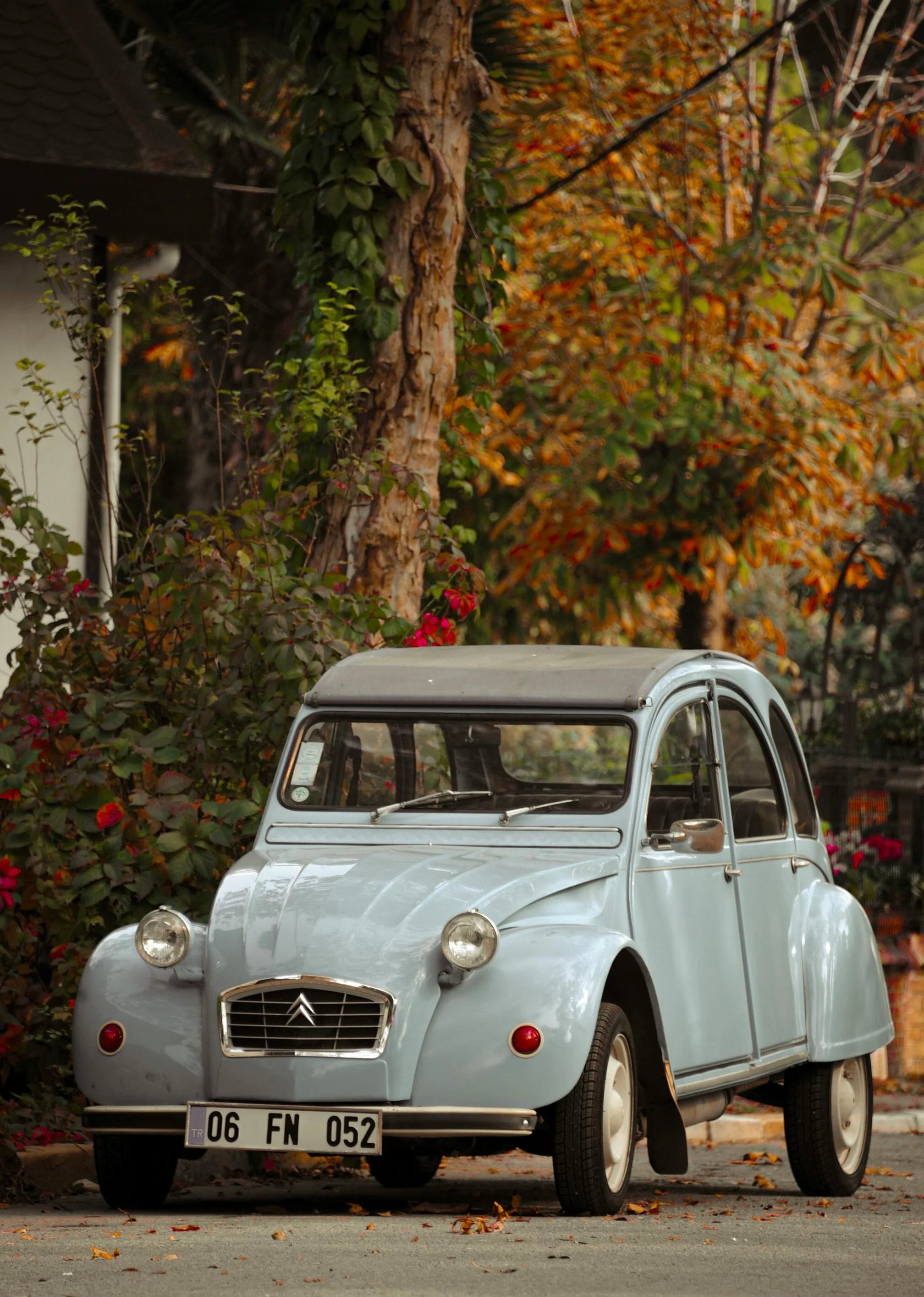 Une voiture française emblématique garée sous les arbres, symbole du charme et du savoir-faire automobile d’autrefois.