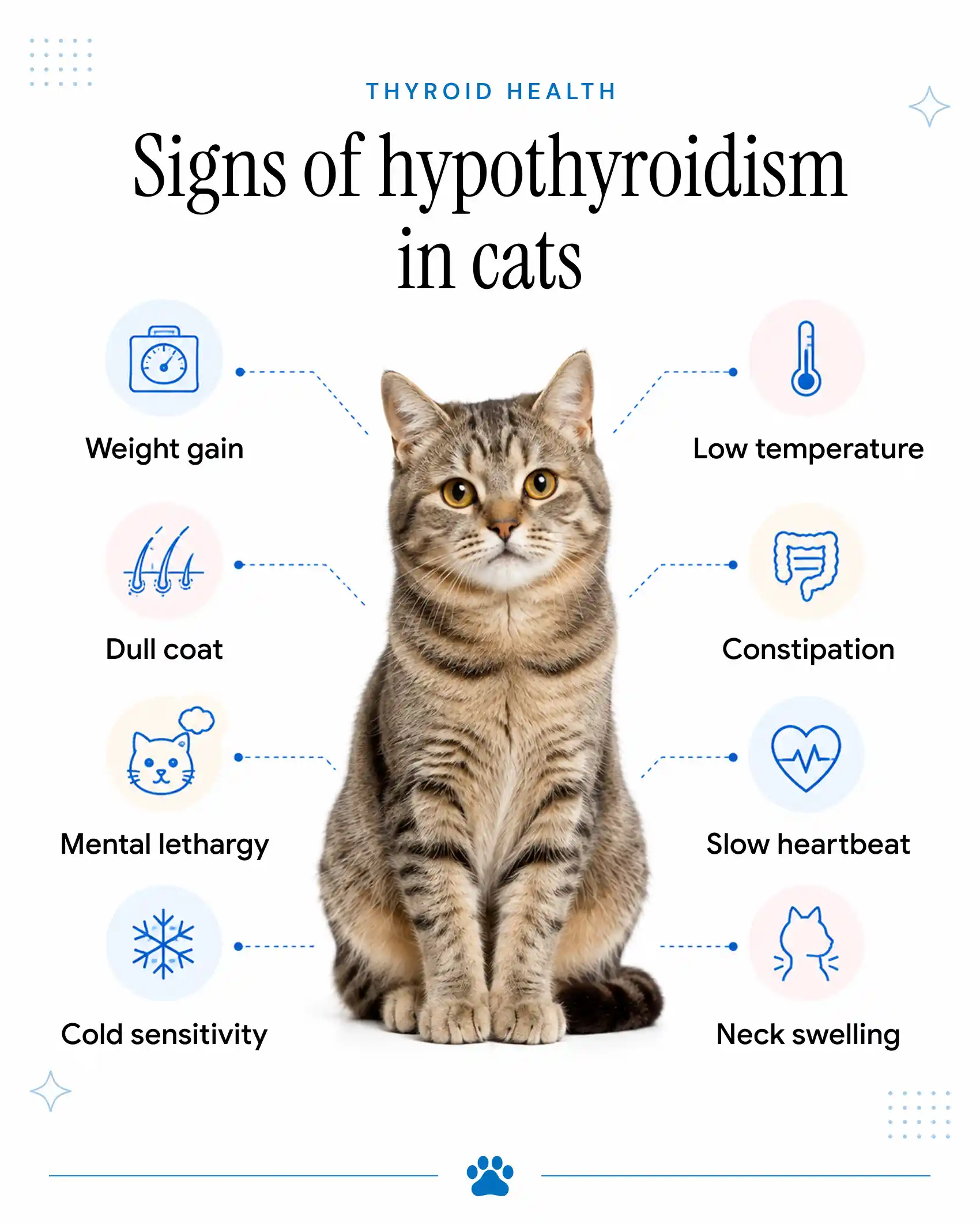 An image showing the symptoms of hypothyroidism in cats.