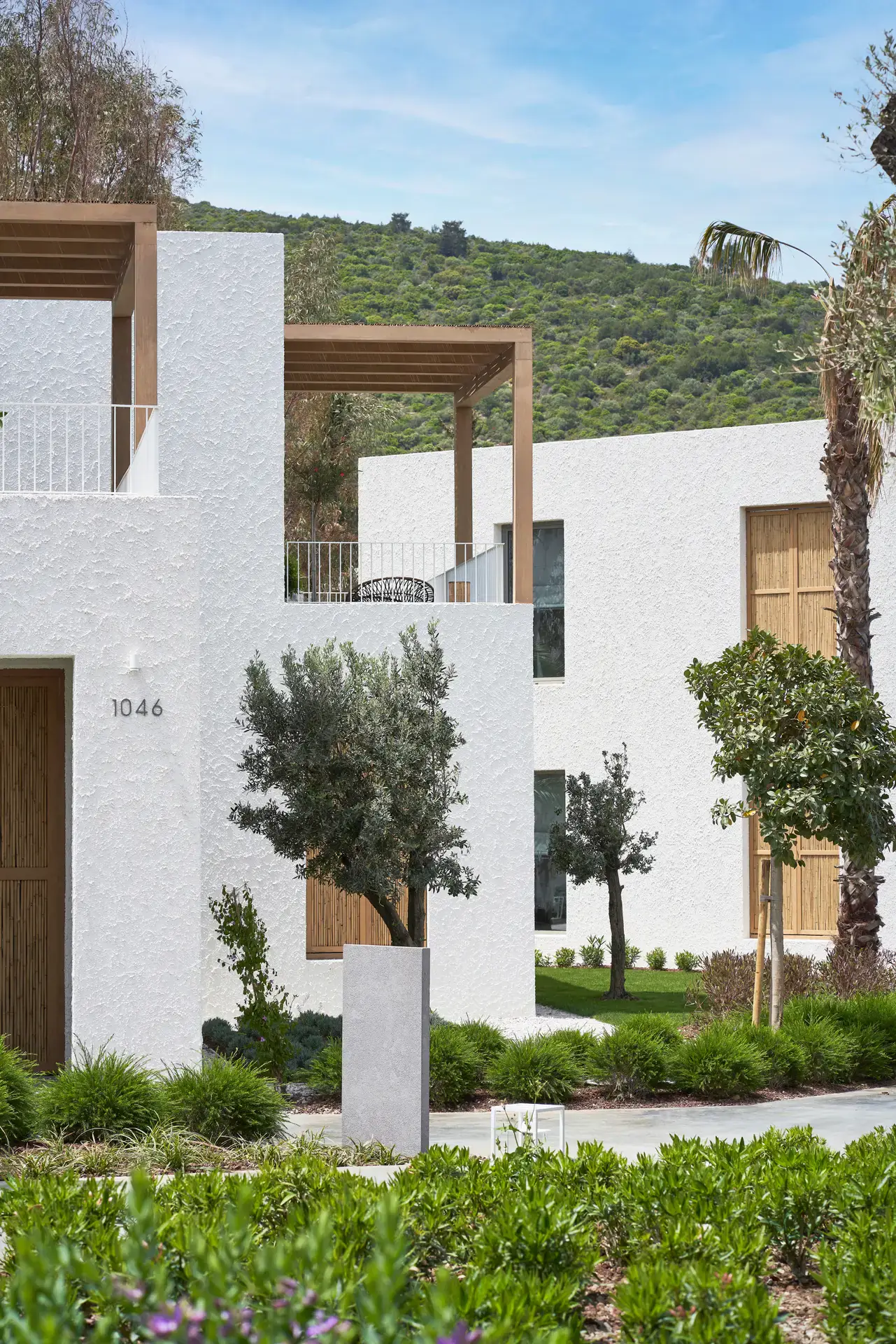 White villas and garden with the hill behind