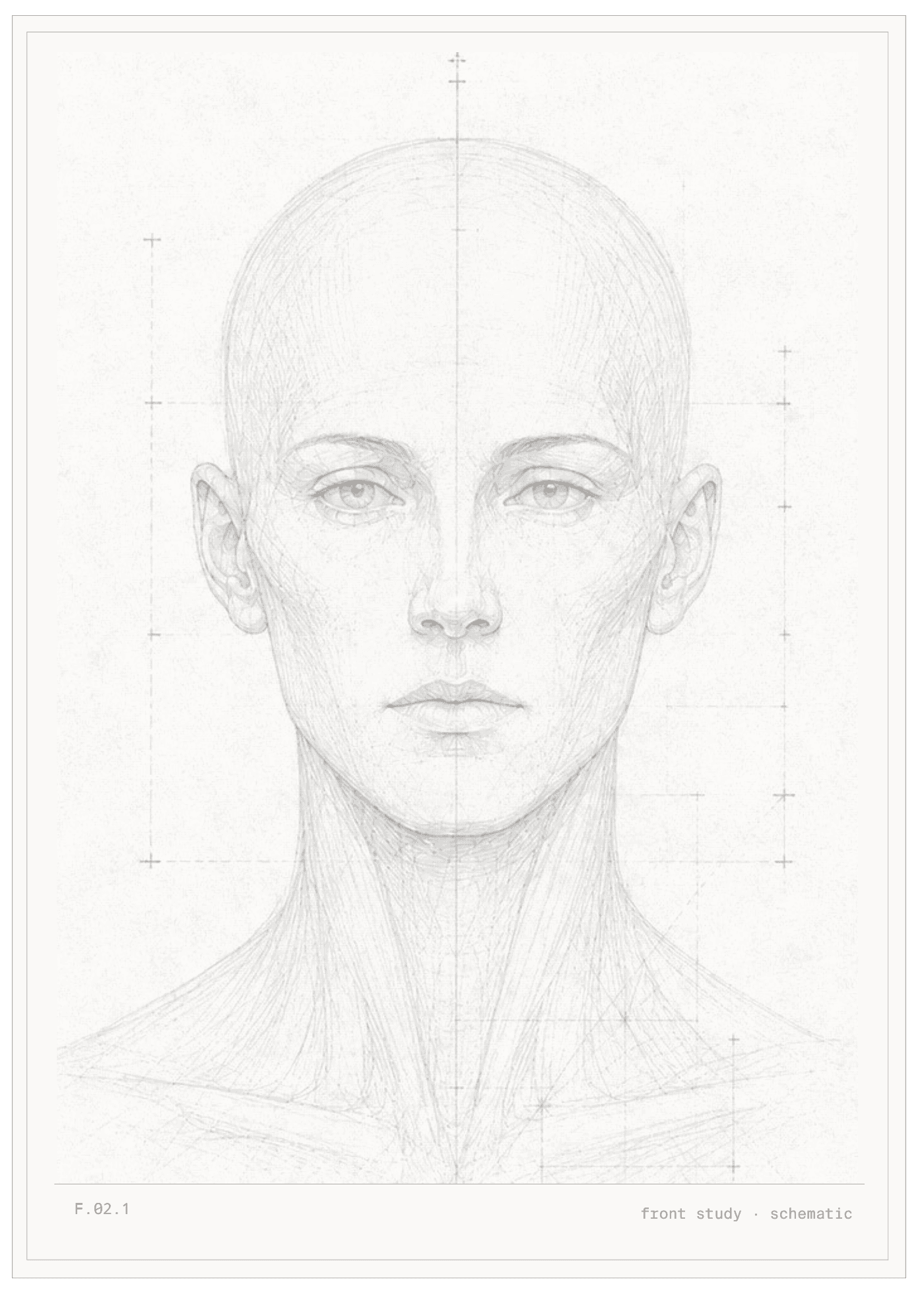The skinalchemy hand-drawn facial study