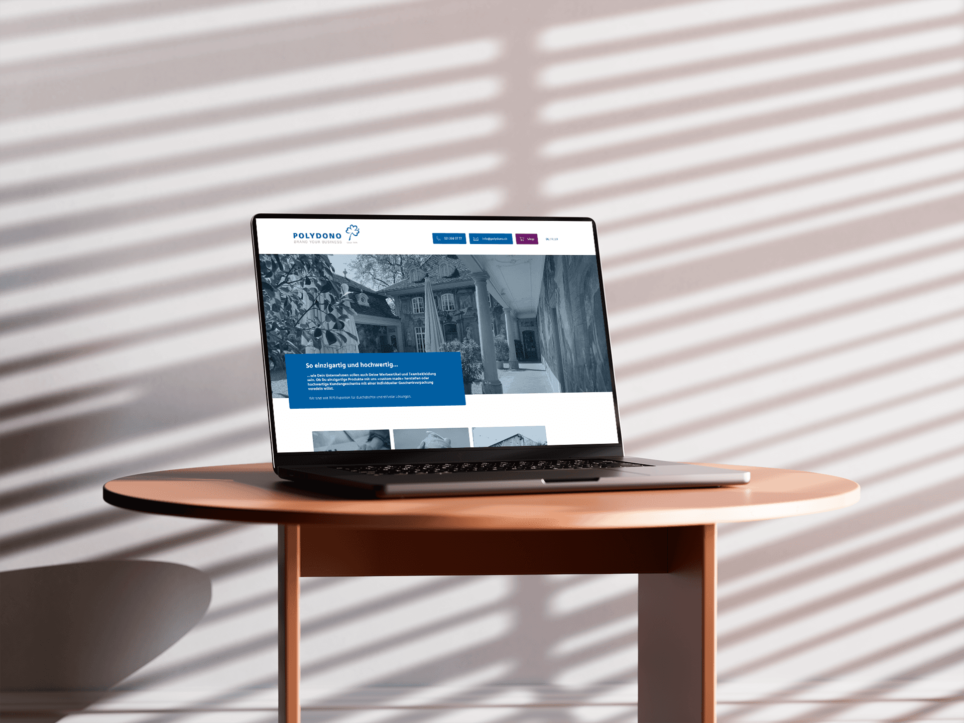 Mockup Polydono Section