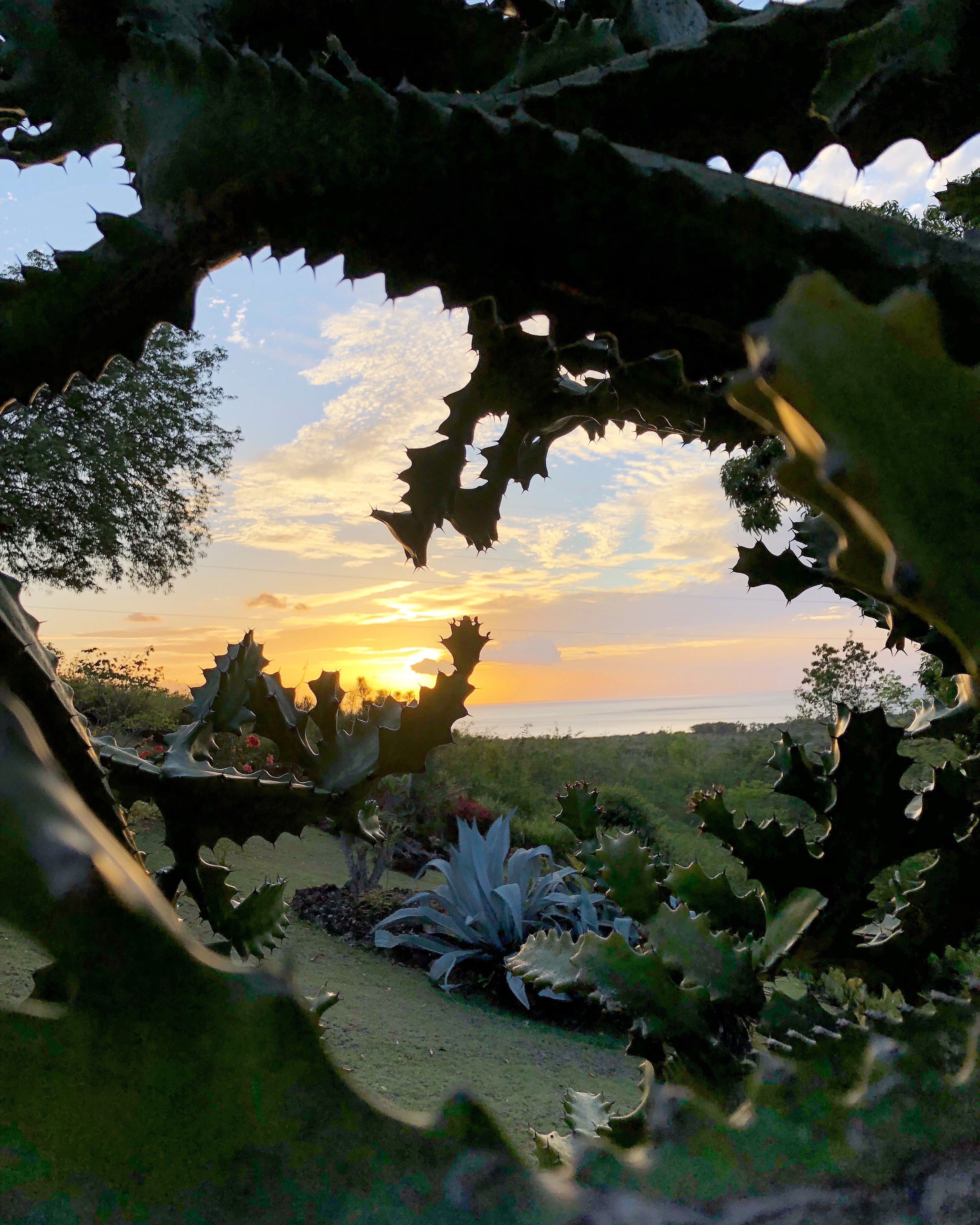 Vue sur la mer des caraïbes au coucher de soleil depuis le jardin tropical du country lodge