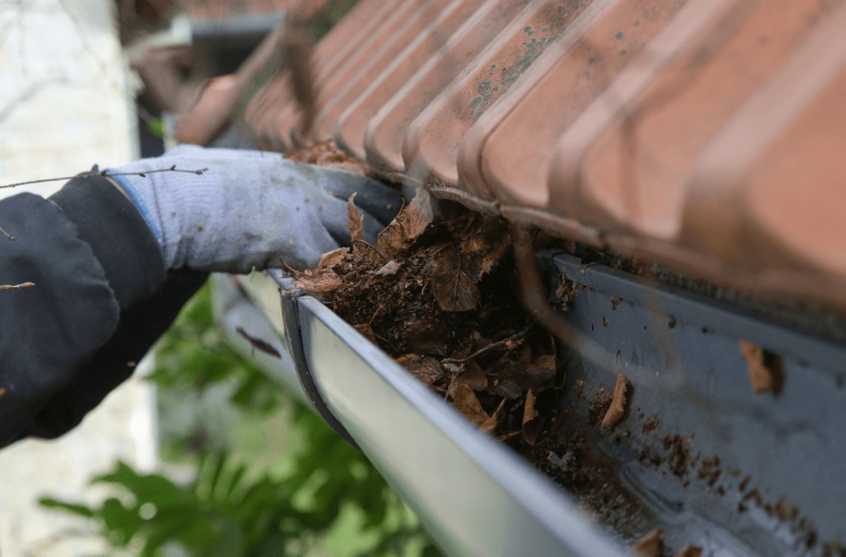 Gutter Cleaning