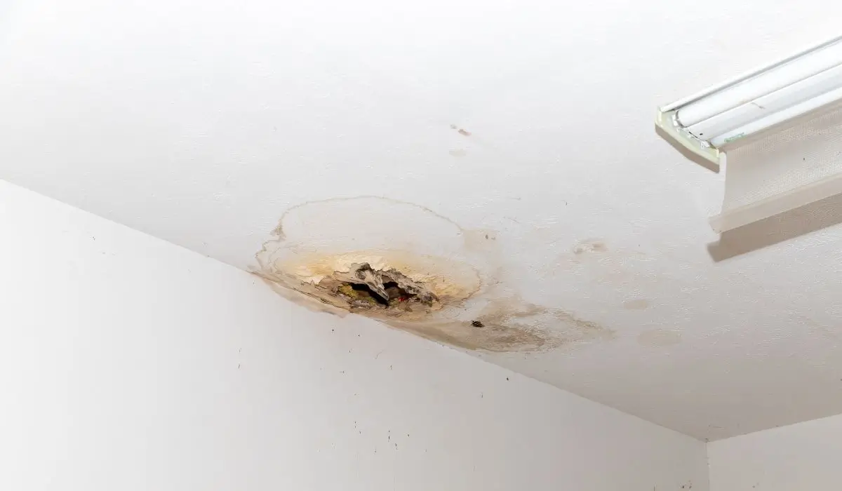 Ceiling showing moisture damage and mold caused by ignored minor roof repairs in a Burr Ridge home.