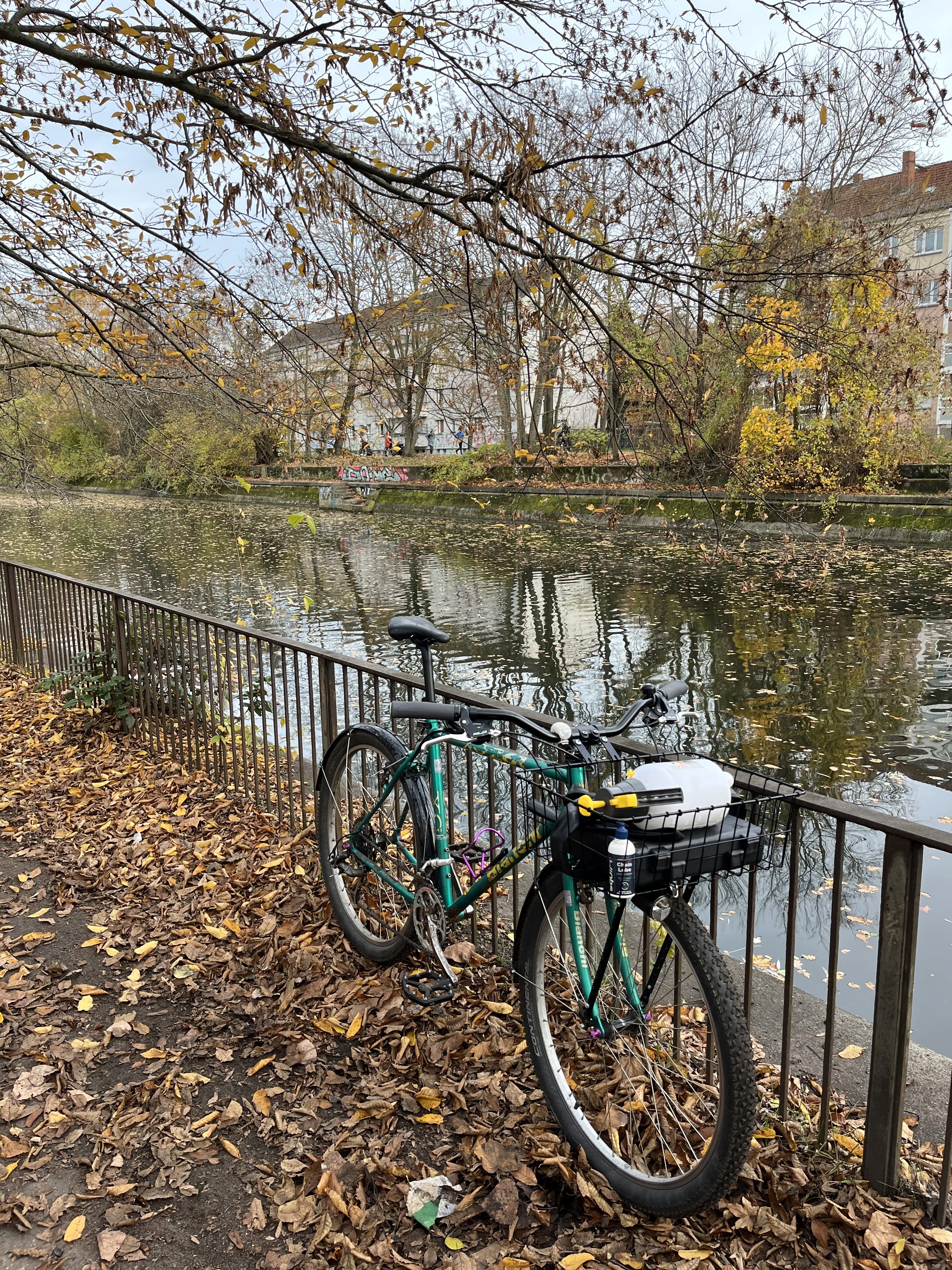 Mobile bike inspection