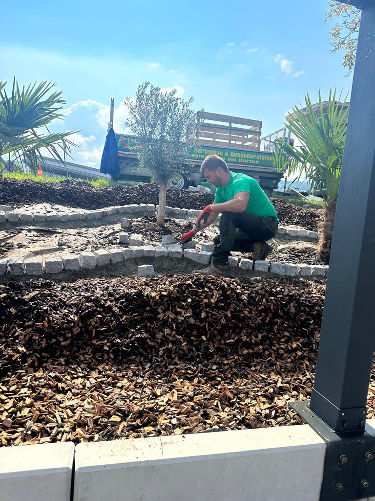 Beeteinfassung aus Naturstein mit Olivenbaum und Rindenmulch – saubere Ausführung & Gartengestaltung in Bad Krozingen von STERN.
