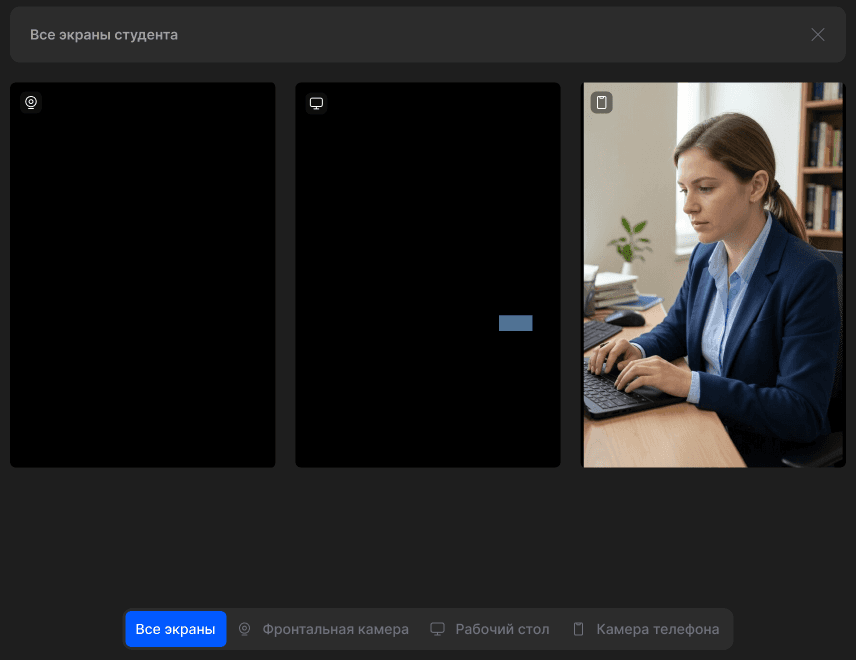 Иллюстративный интерфейс TrustExam: камеры и экран участника