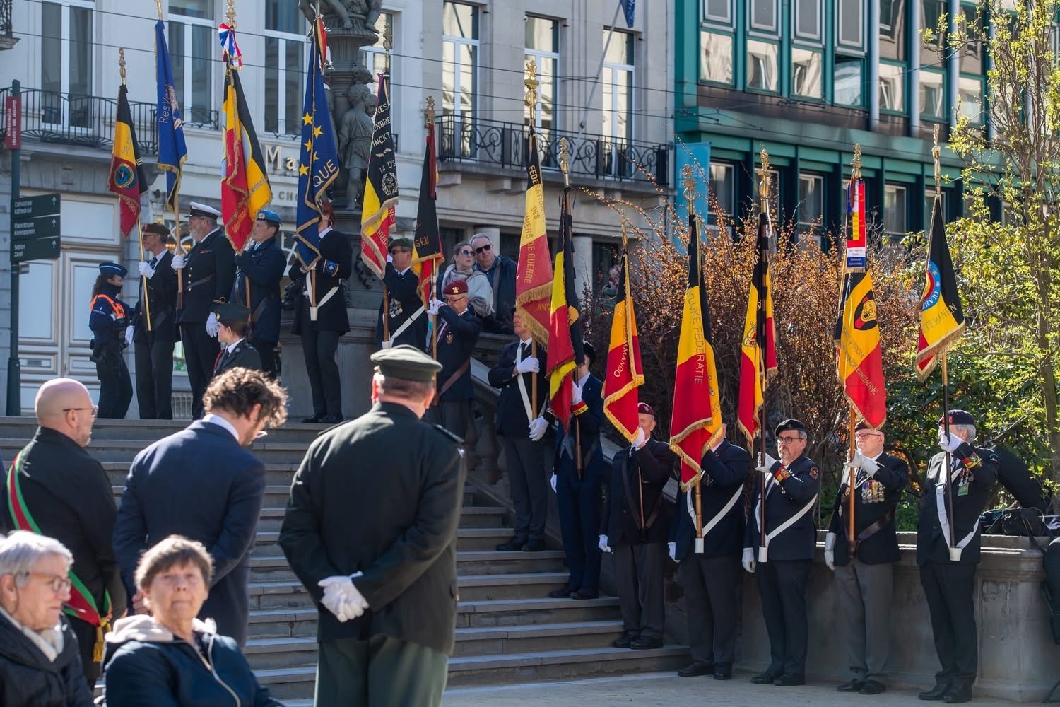 Close-up of lush, dark green leaves, some glossy and wet, against a muted background.