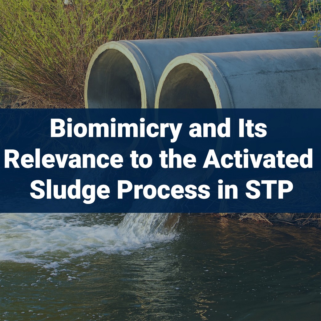 Sewage Treatment Plant - Biomimicry and Its Relevance to Activated Sludge Process