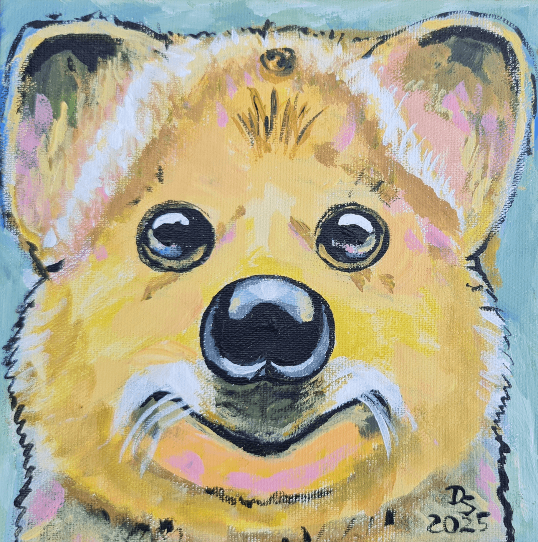 Quokka and Grass